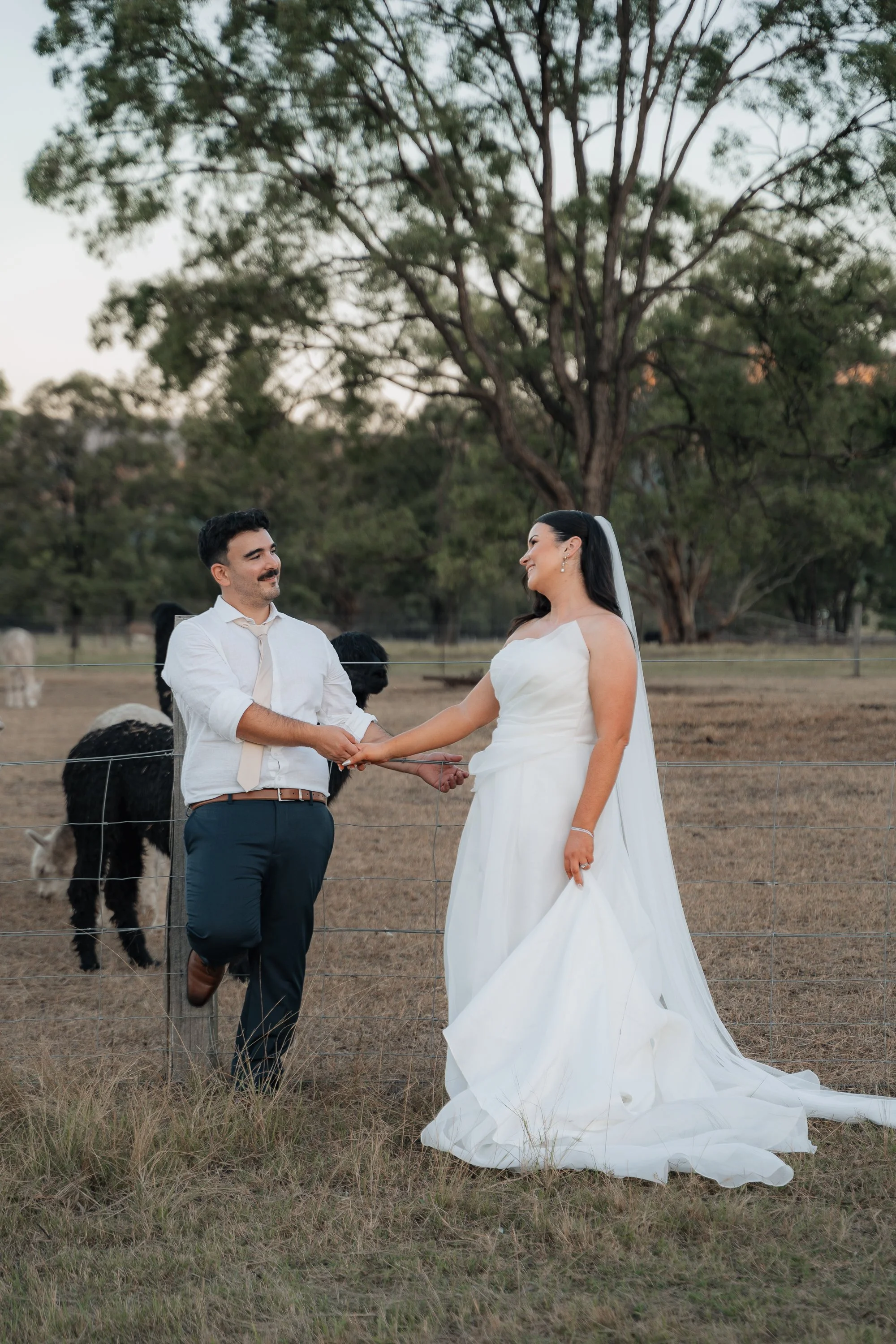 Starline Alpaca Farm Broke Wedding Photography & Videography