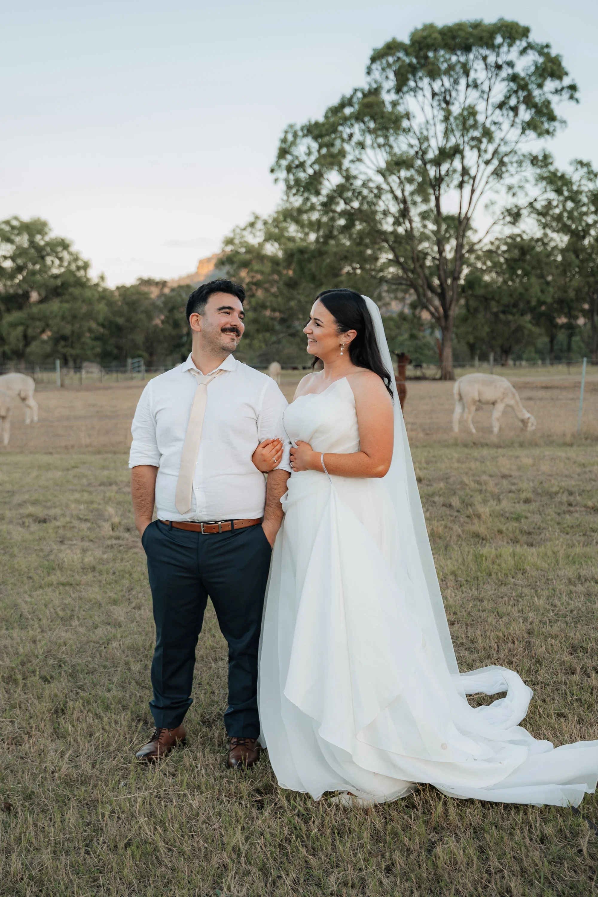 Starline Alpaca Farm Broke Wedding Photography & Videography
