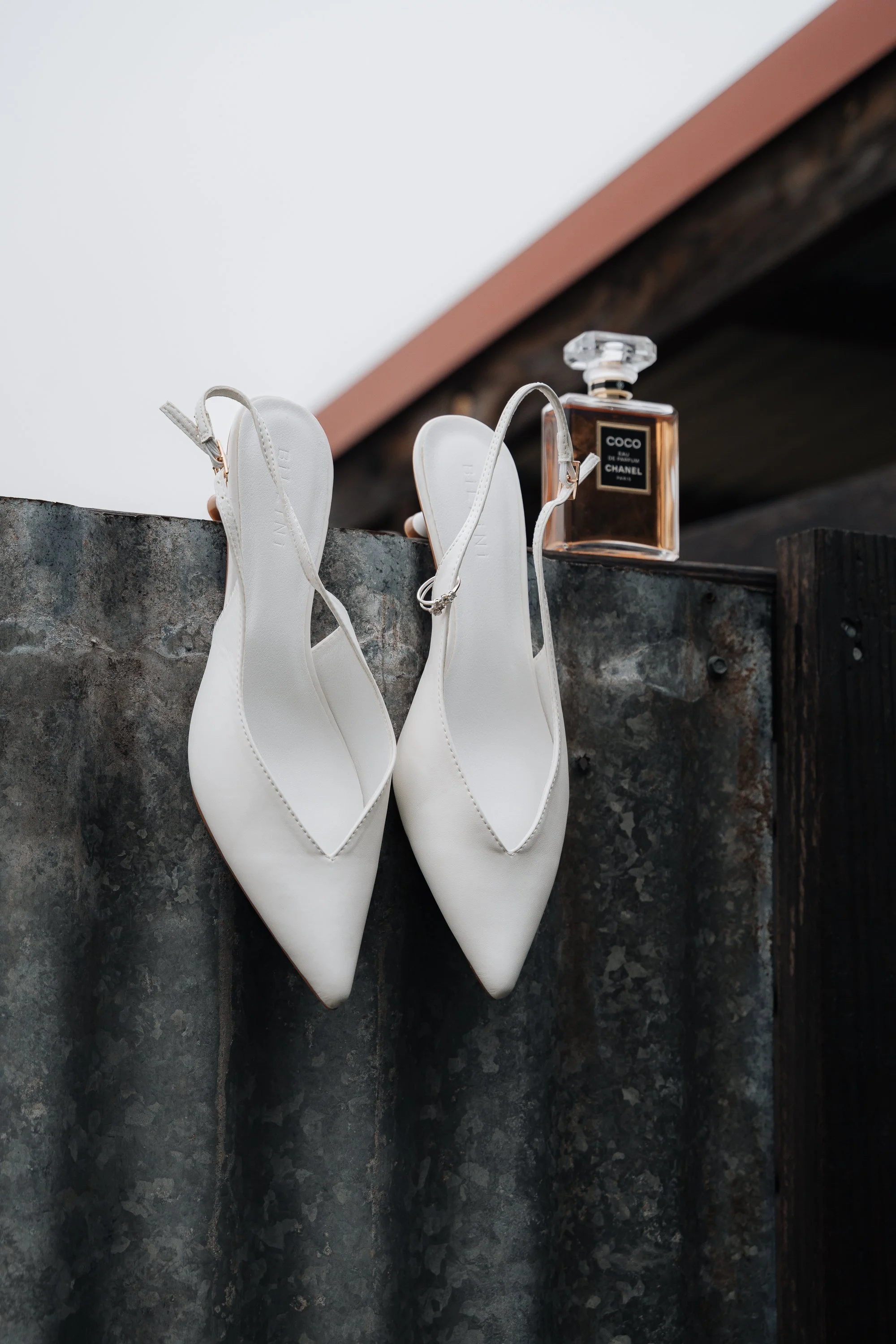 Starline Alpaca Farm Broke Wedding Photography & Videography
