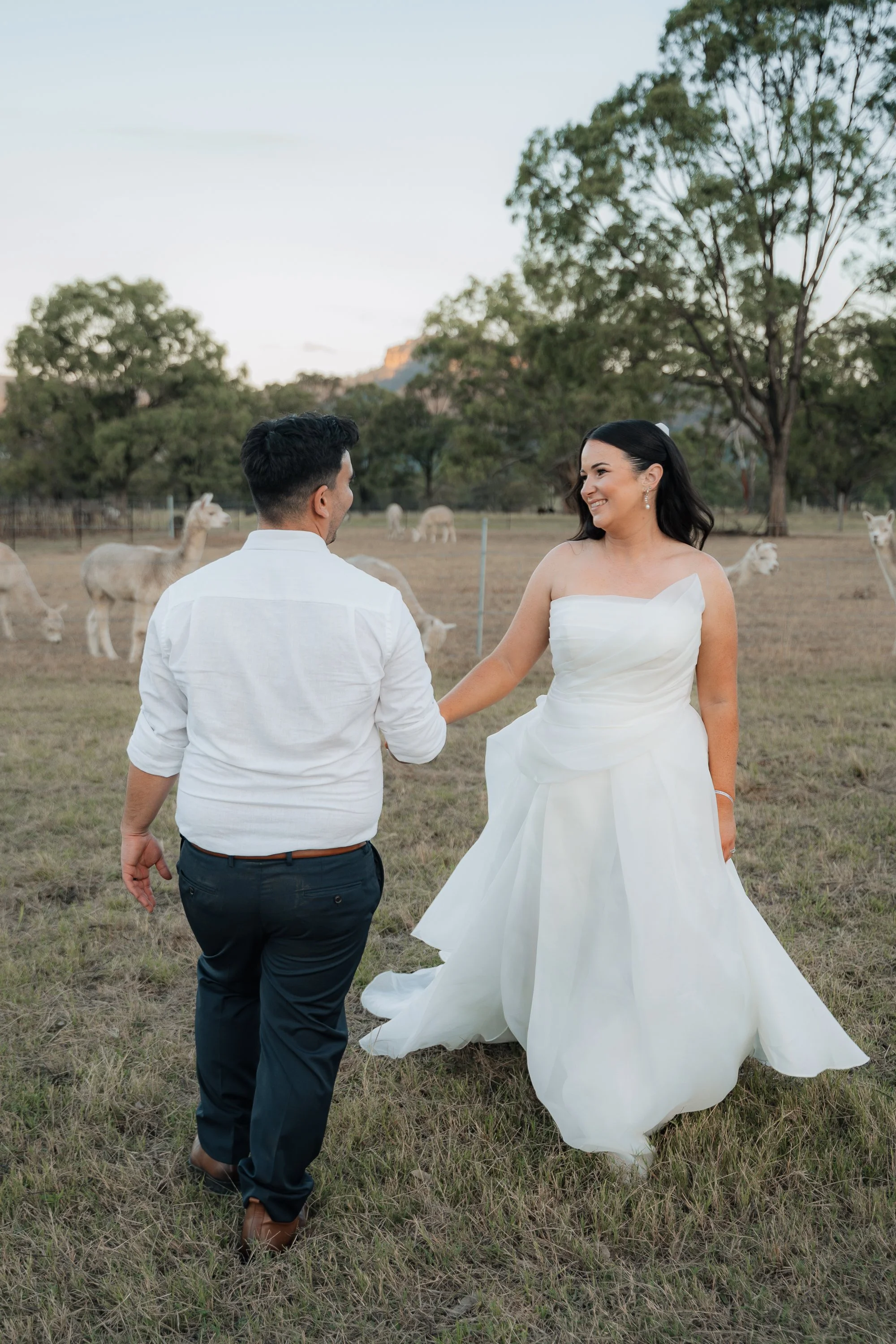 Starline Alpaca Farm Broke Wedding Photography & Videography