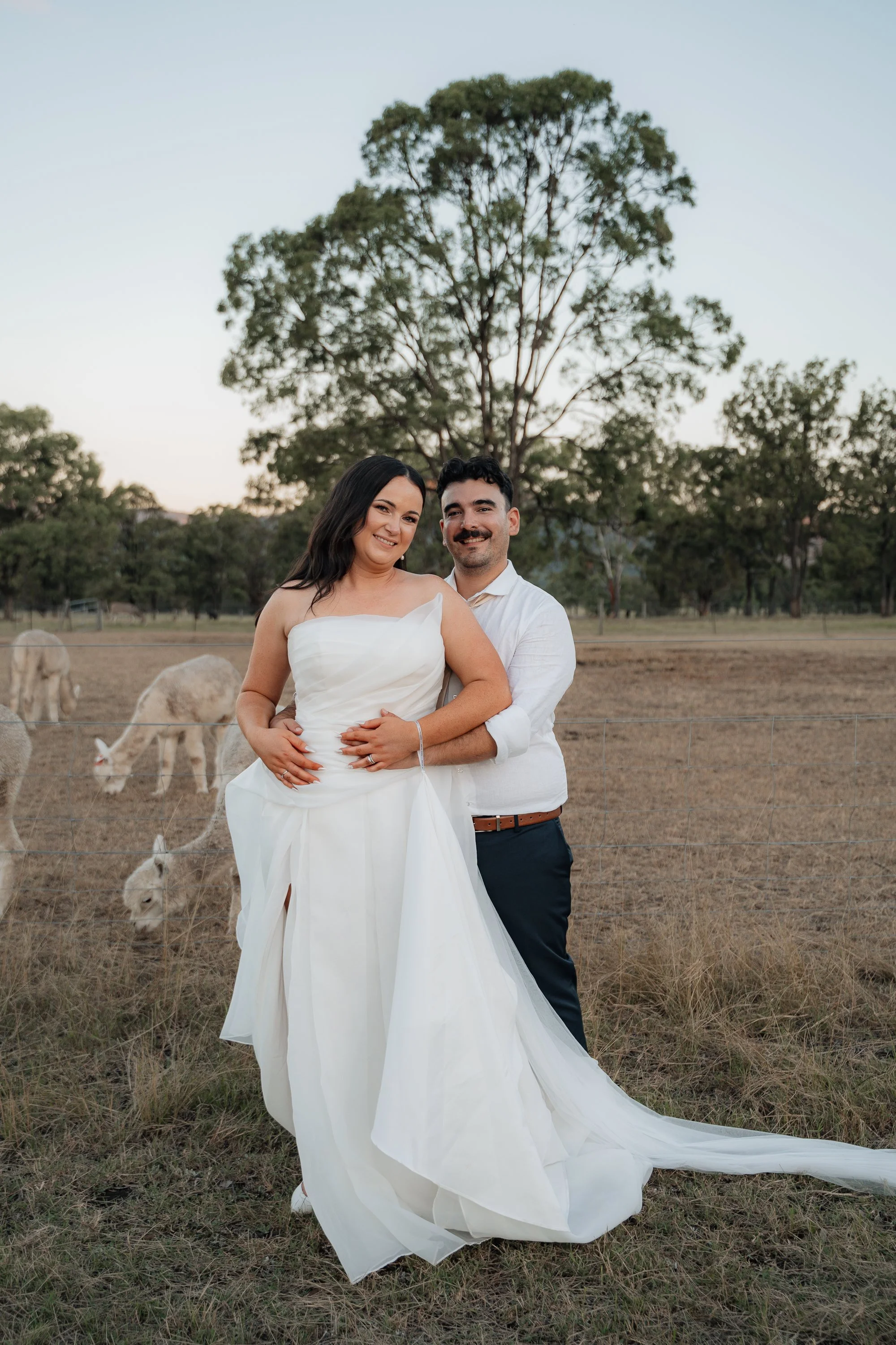 Starline Alpaca Farm Broke Wedding Photography & Videography