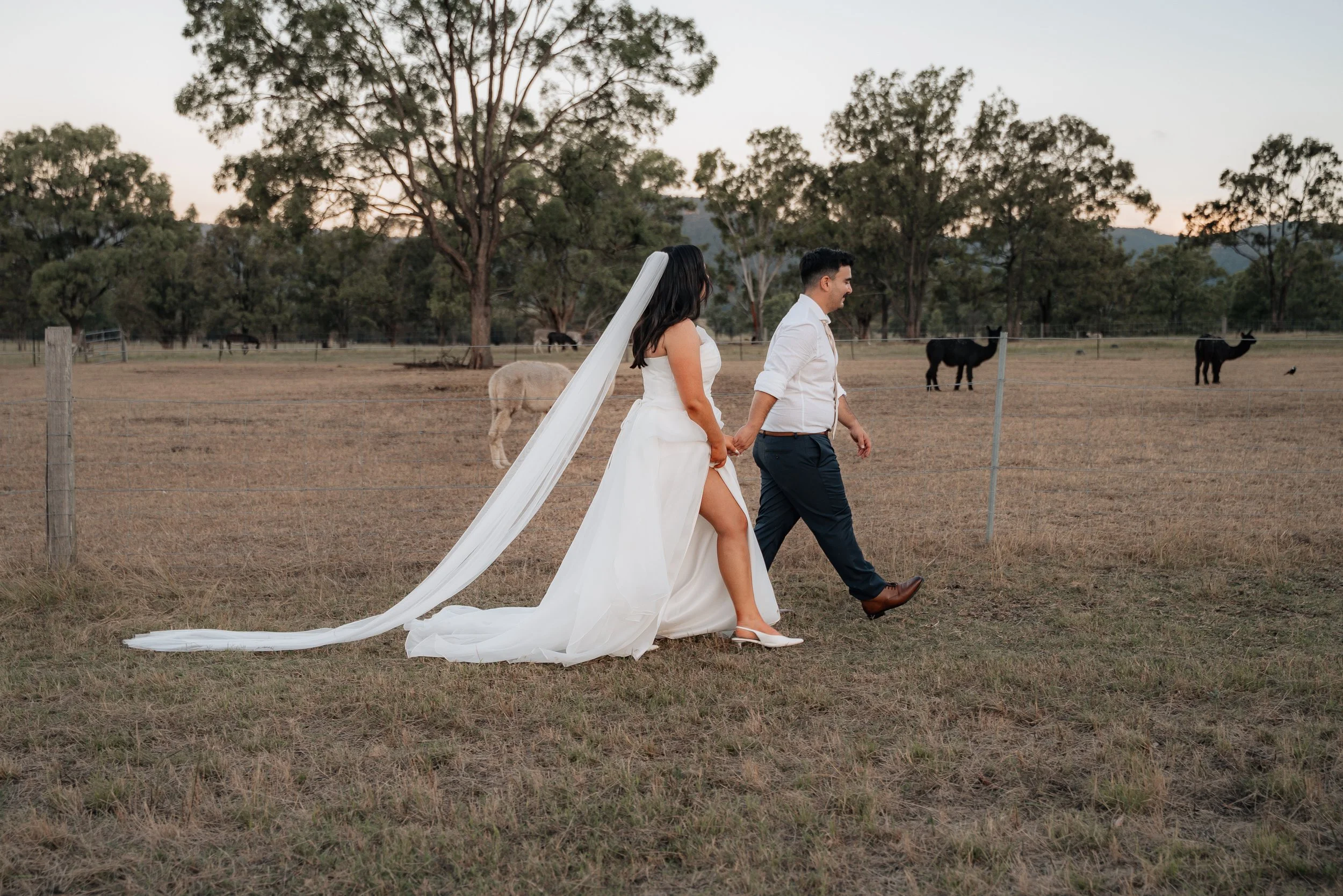 Starline Alpaca Farm Broke Wedding Photography & Videography
