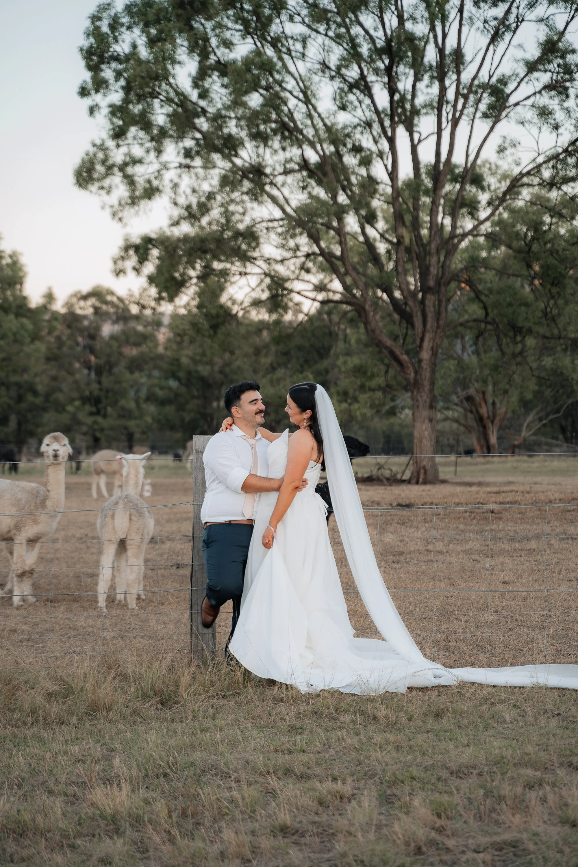 Starline Alpaca Farm Broke Wedding Photography & Videography