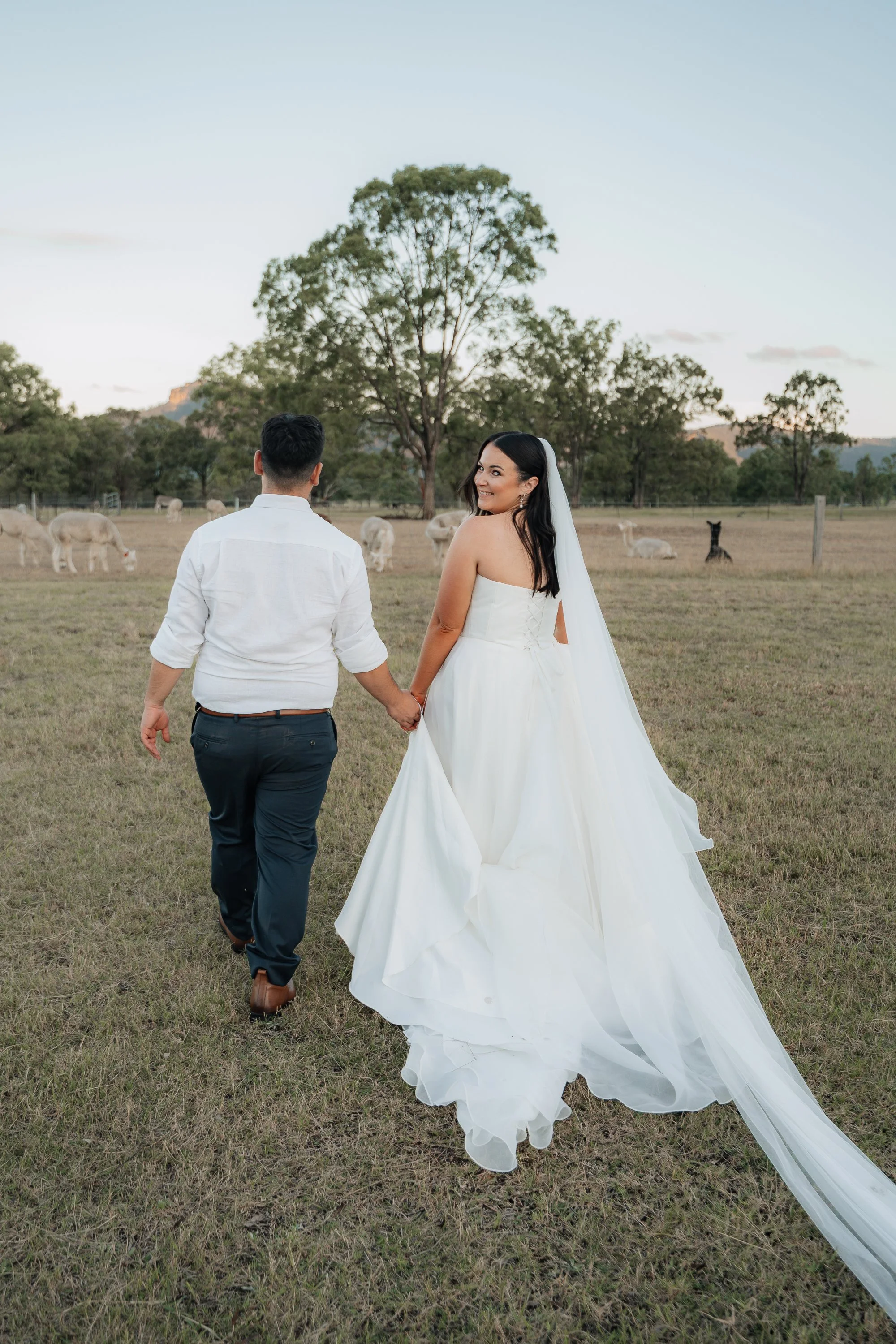 Starline Alpaca Farm Broke Wedding Photography & Videography