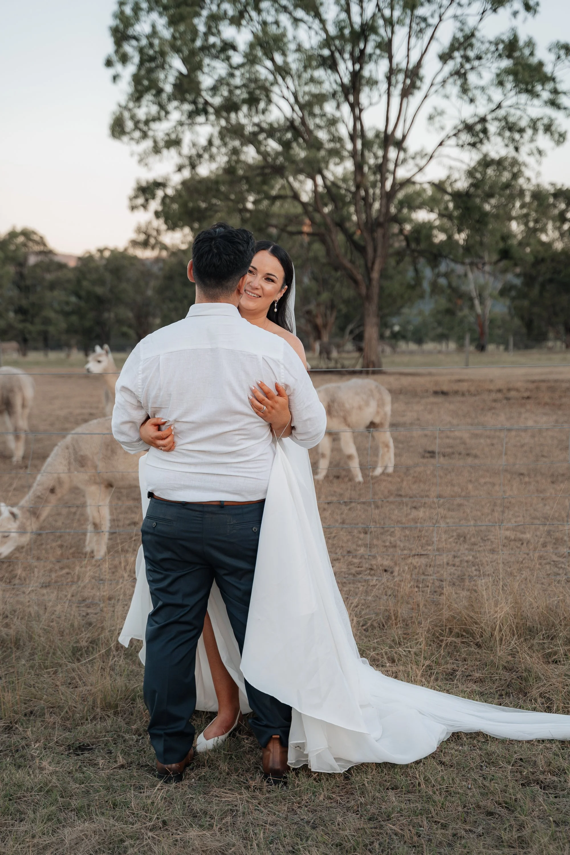 Starline Alpaca Farm Broke Wedding Photography & Videography