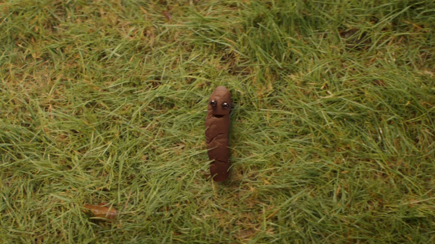 POO.jpg