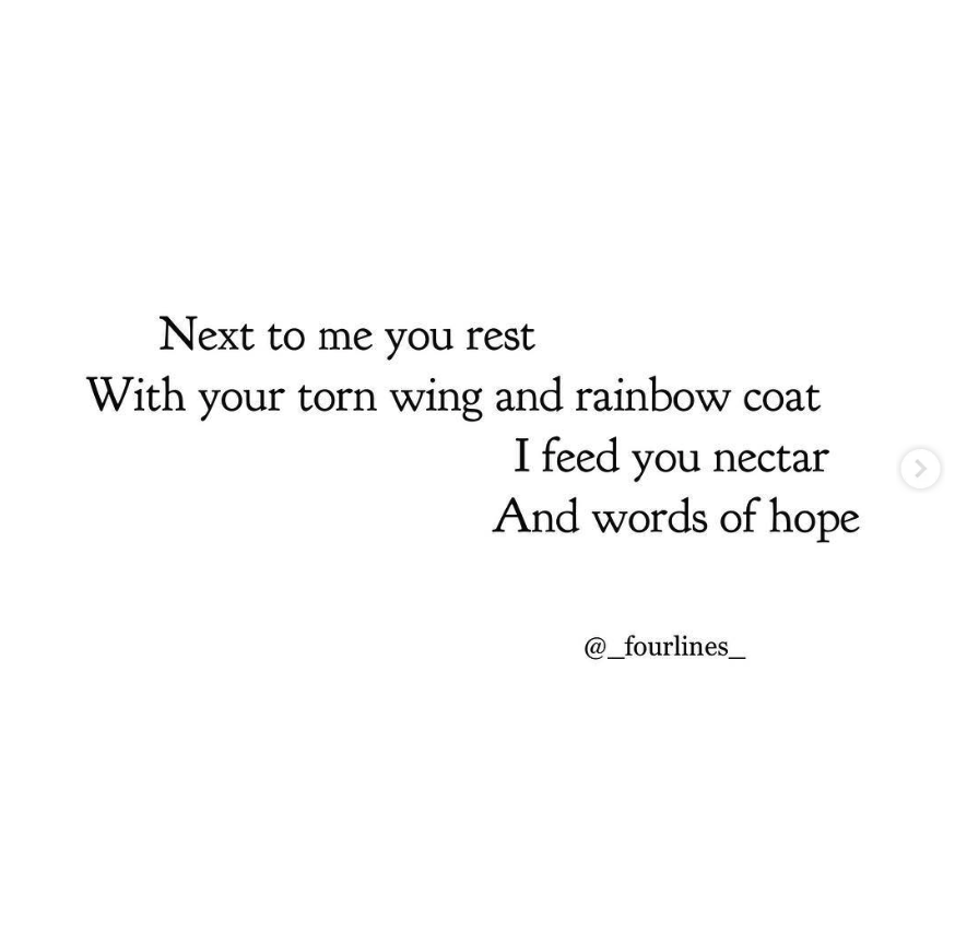 EllaMitchell_Mitch_FourlinesPoetryProject_00009.png