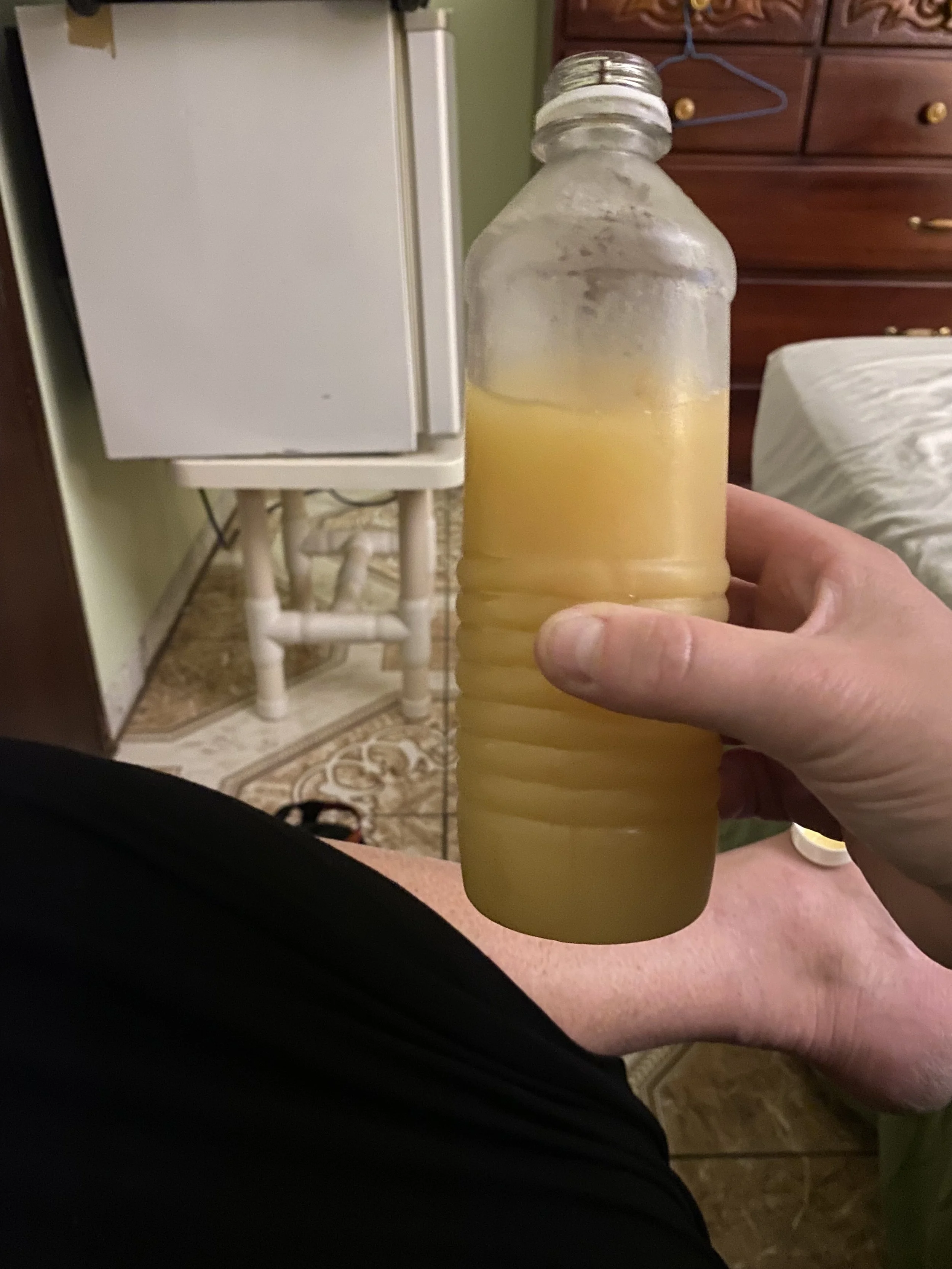 IMG_1592.jpeg