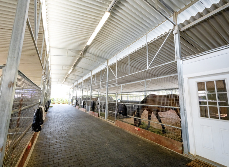 Inside a modern barn with horse stalls, showing a row of horses in a well-lit, covered corridor.