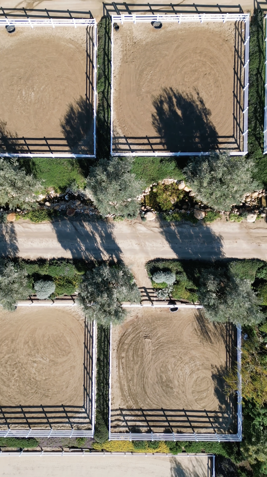 An aerial view of four equestrian dressage riding arenas with sandy surfaces, surrounded by trees, bushes, and a dirt pathway.