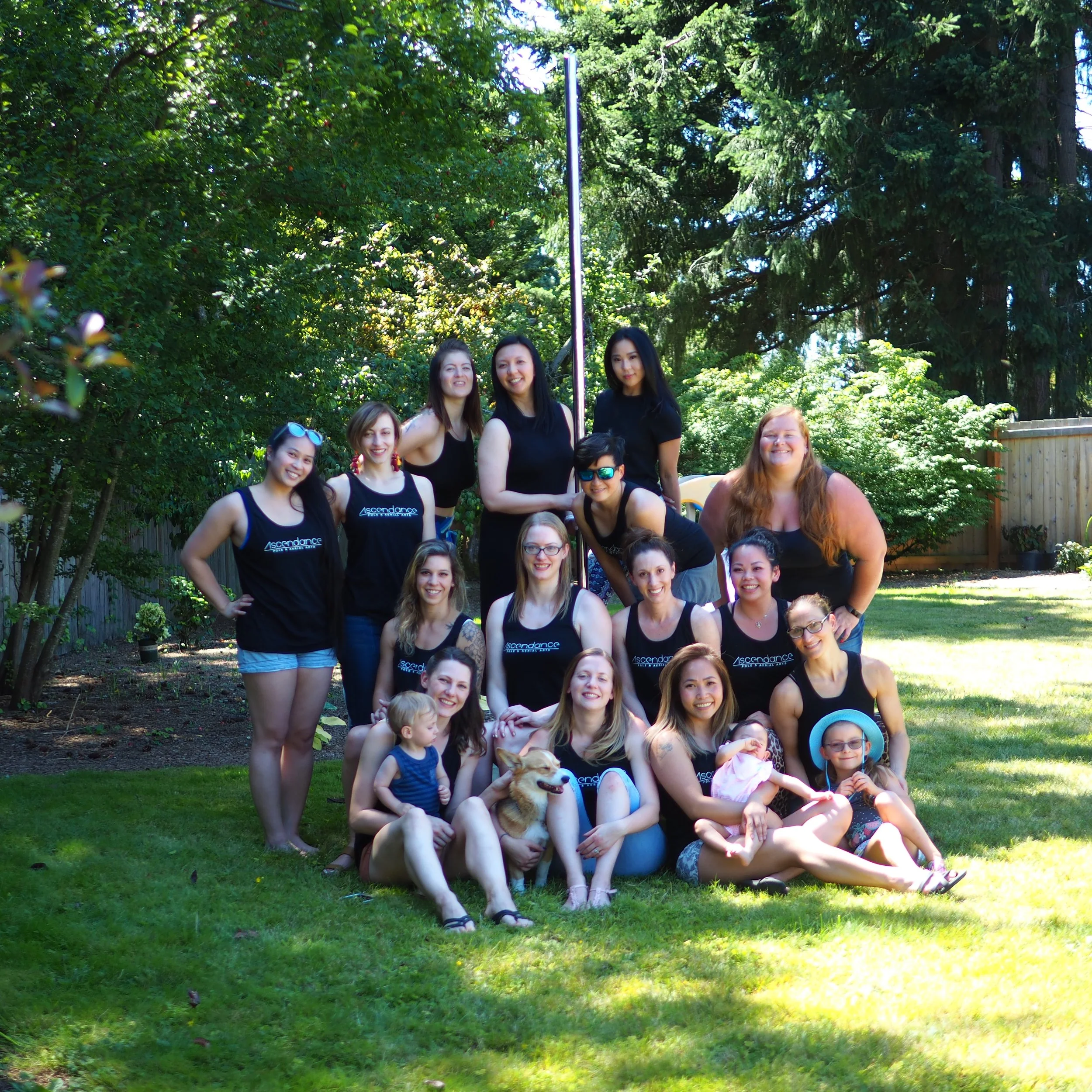 Why Is Ascendance Pole and Aerial Arts a Nonprofit?