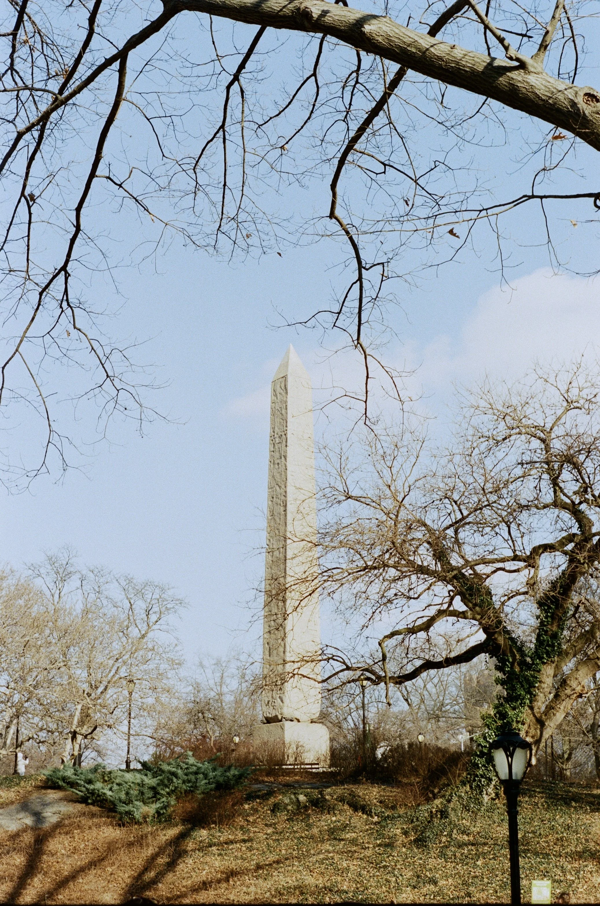 IMG_2899.jpeg