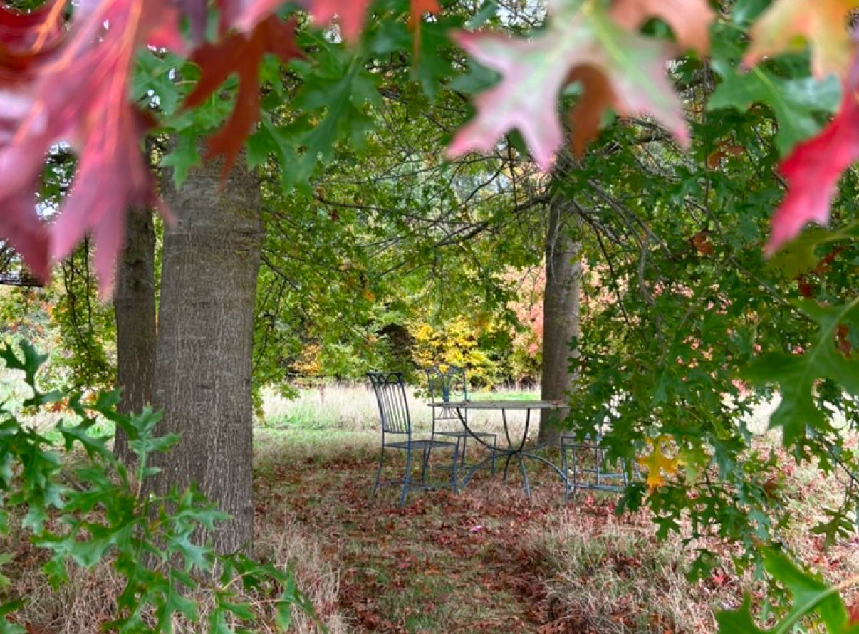 Tuin met twee bomen en een metalen tafel en drie stoelen, omgeven door herfstbladeren.