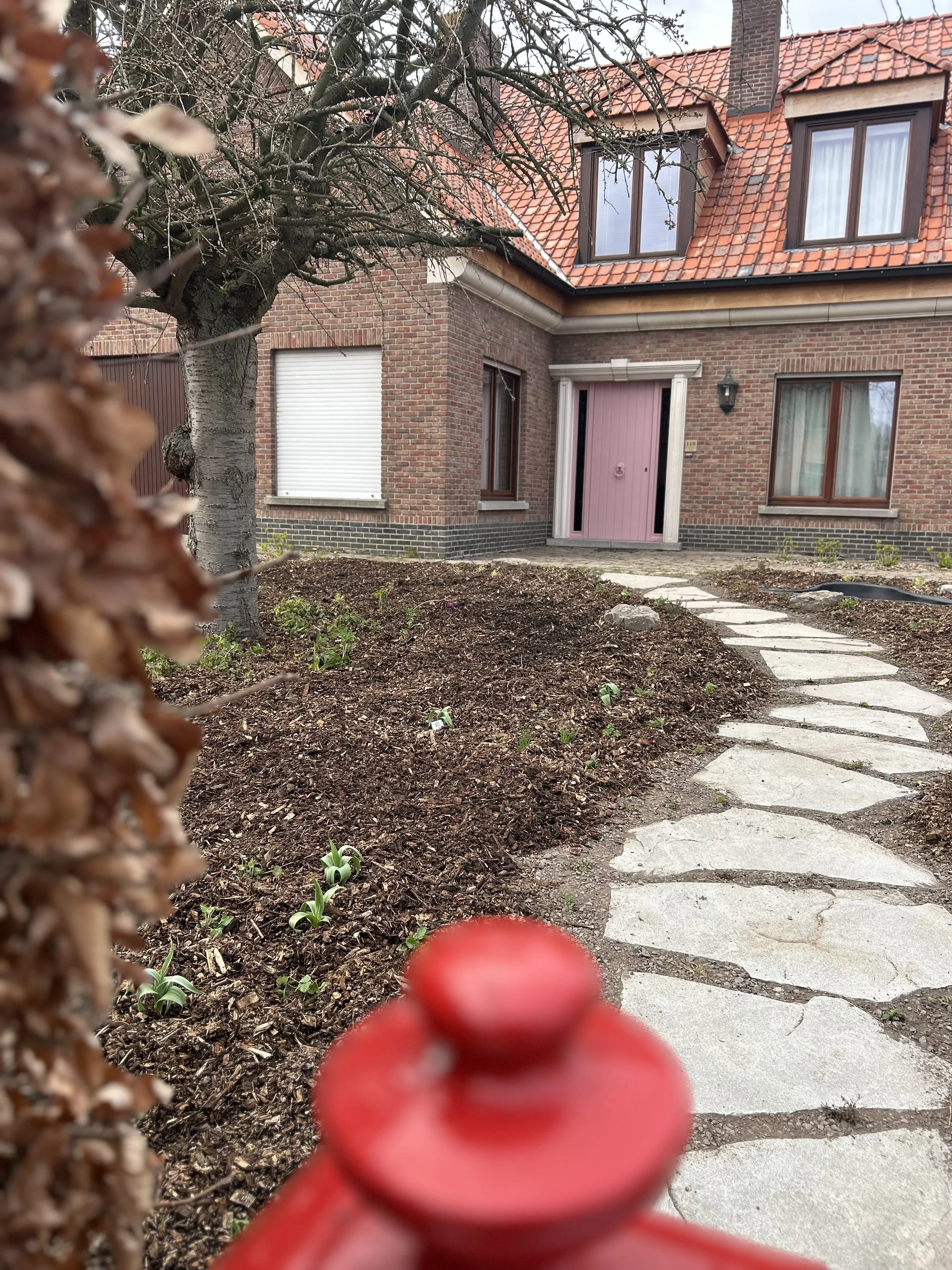 Voorgrond van een rode brievenbus en een haag. Er loopt een stapstenen pad naar naar de voordeur. Het huis heeft een rood dak, een roze voordeur met witte omlijsting en ramen met witte en bruine kozijnen.