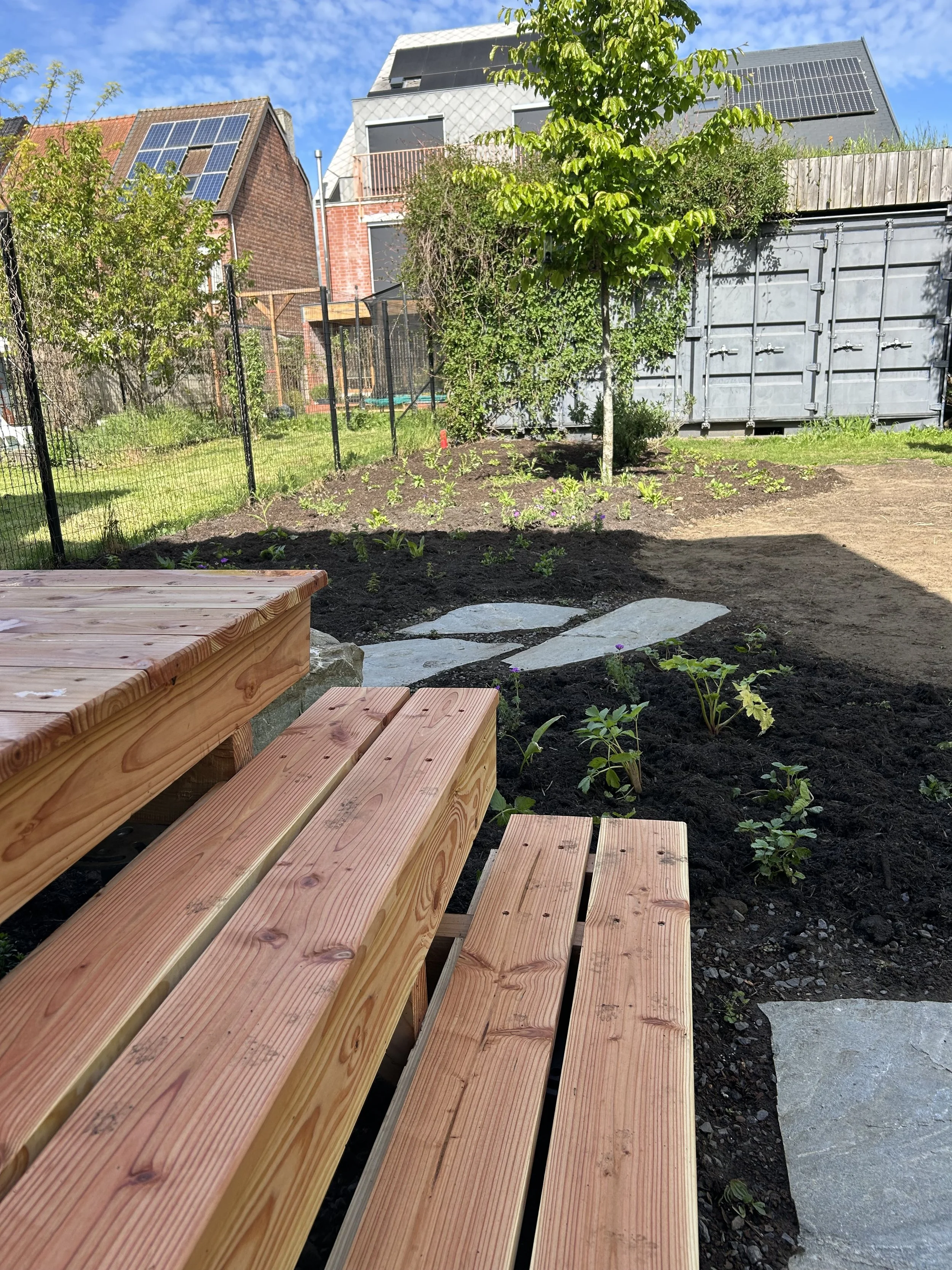 Een tuin met een houten terras en trap, jonge planten en bomen, omheind met een hek, met huizen en zonnepanelen op de daken op de achtergrond, onder een blauwe hemel.