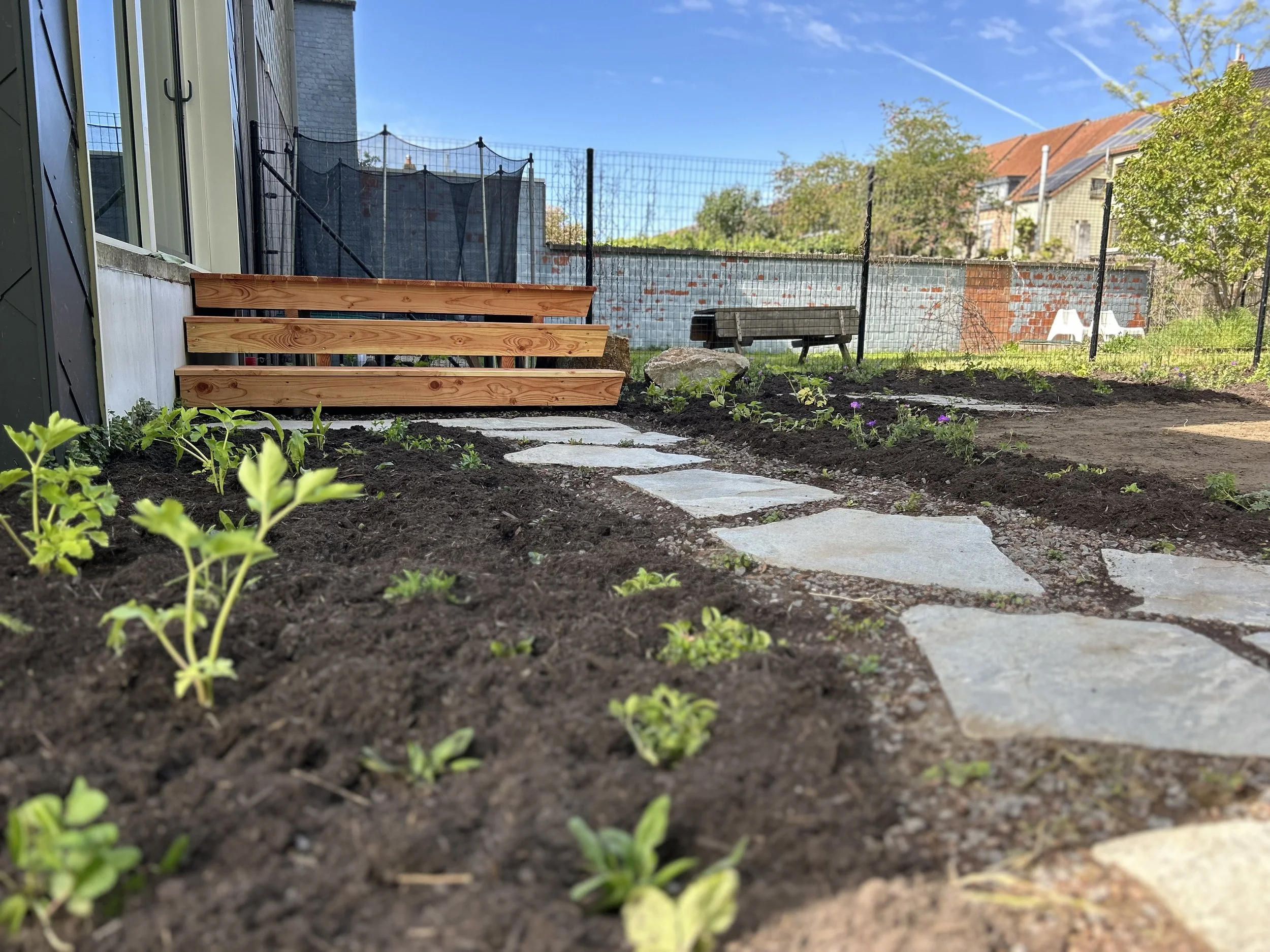 Een tuin met stapstenen, jonge planten in de grond, een houten trap, een container, een hek en een muur op de achtergrond onder een blauwe lucht.