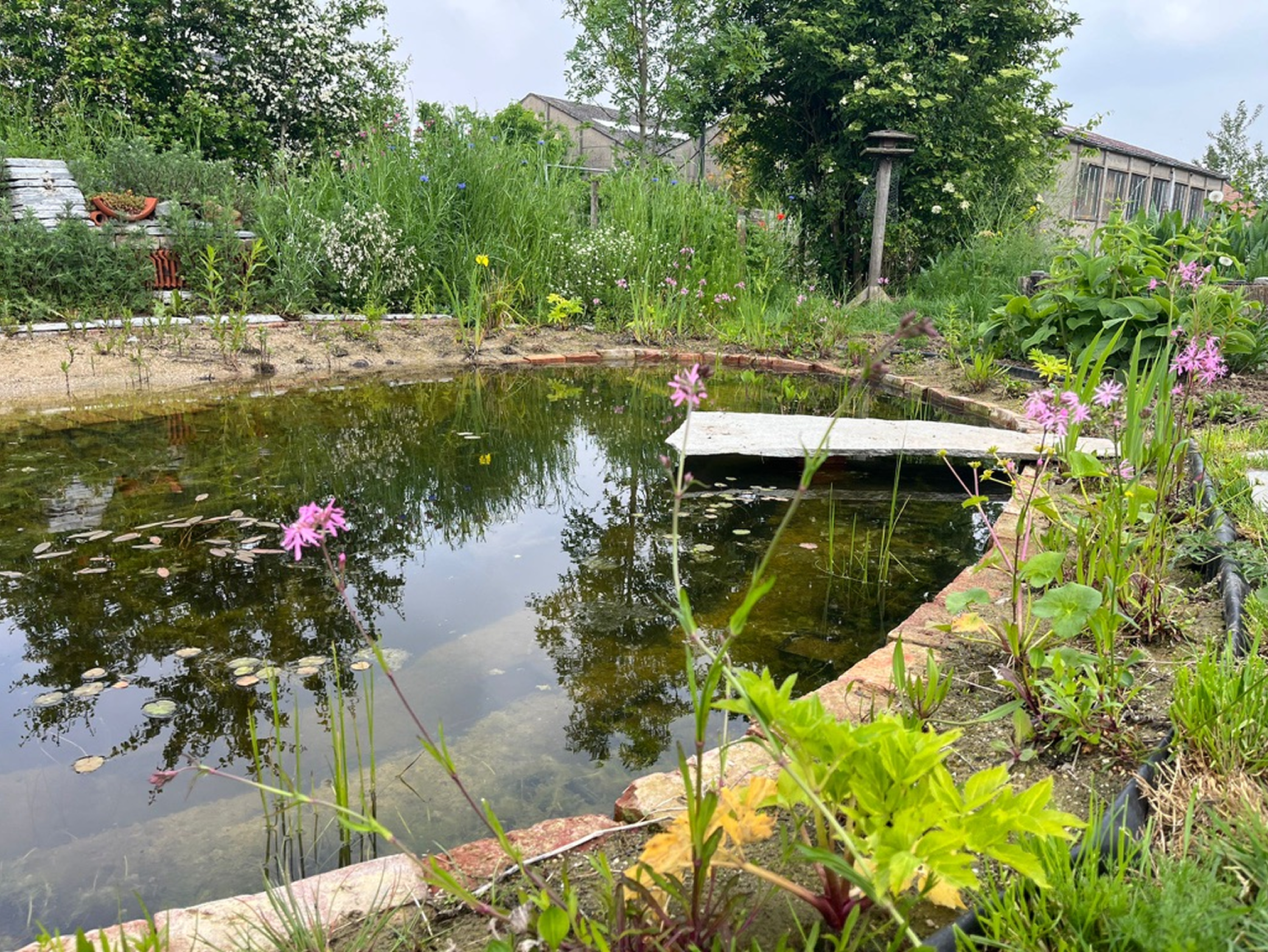 Een tuin met een vijver, bloemen en planten.