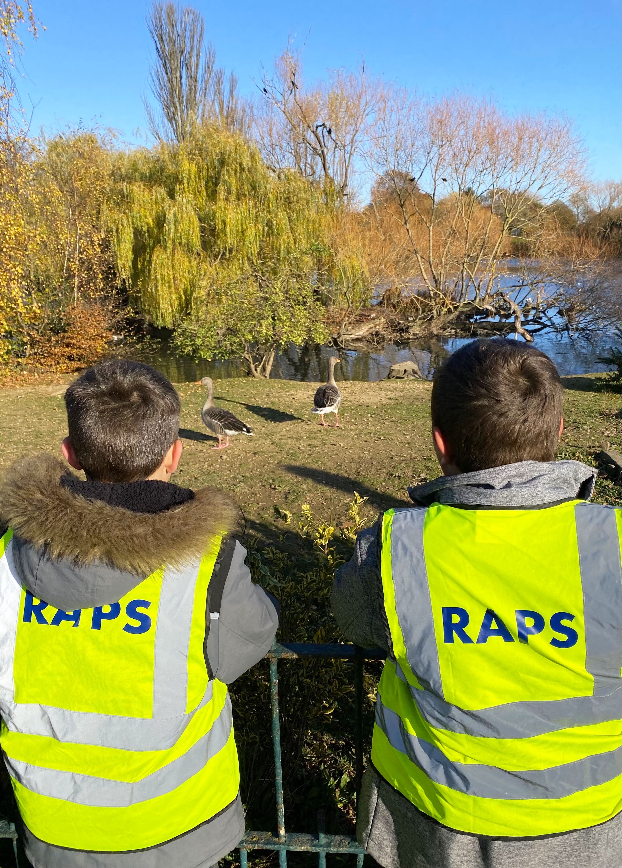 10.BIRD WATCHING.jpeg