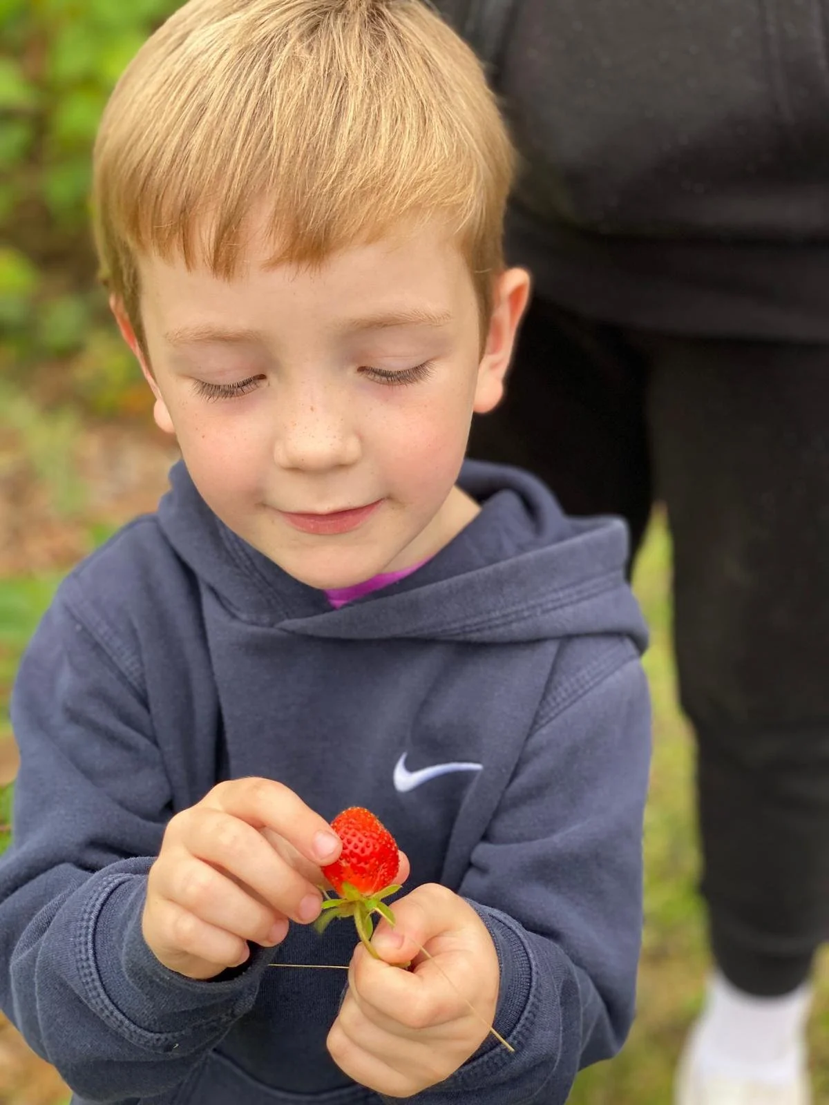 ABLE AND STRAWBERRY.JPG