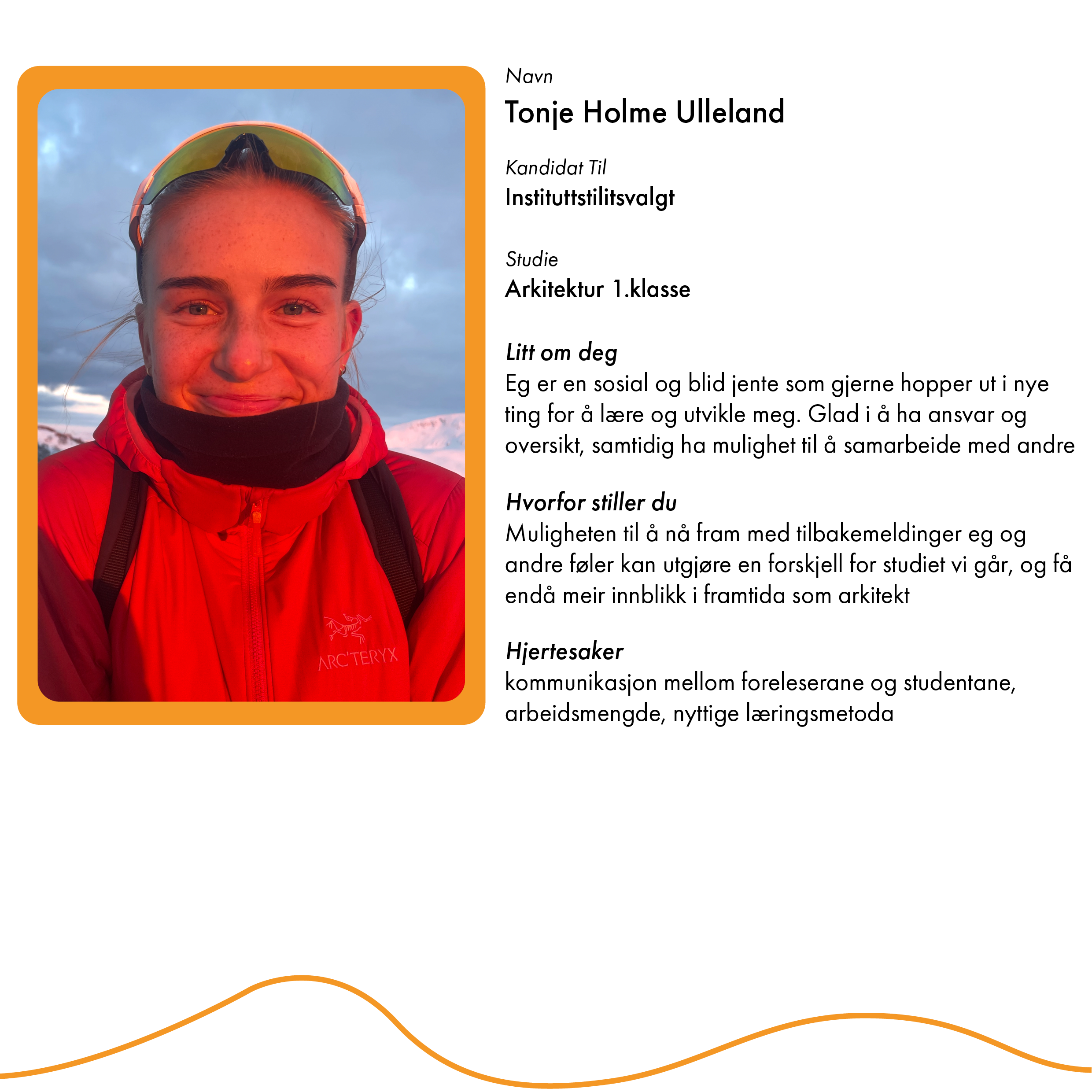 Kandidater9.png