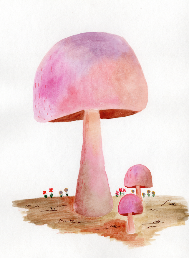 Screenshot 2026-03-03 at 2.16.08 PM.png