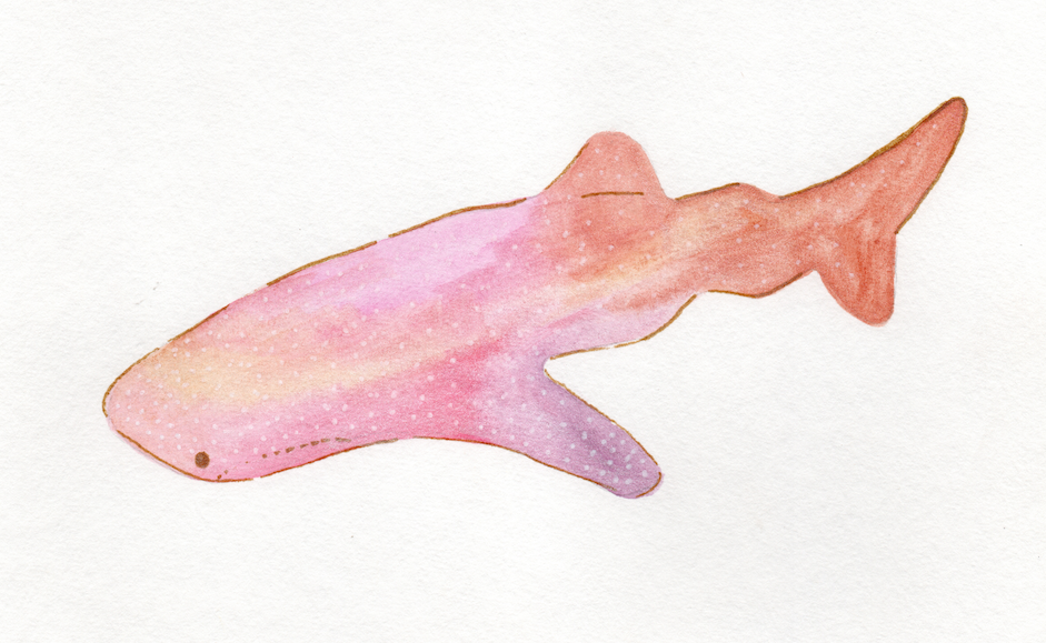 Screenshot 2026-03-03 at 2.13.44 PM.png