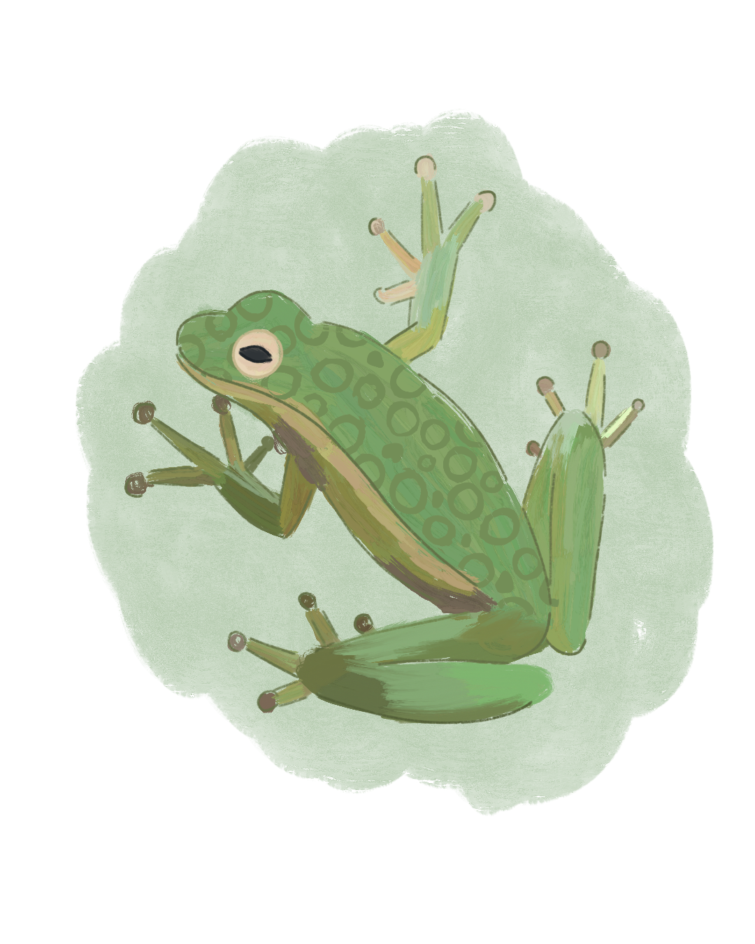 Untitled Artwork (1).png