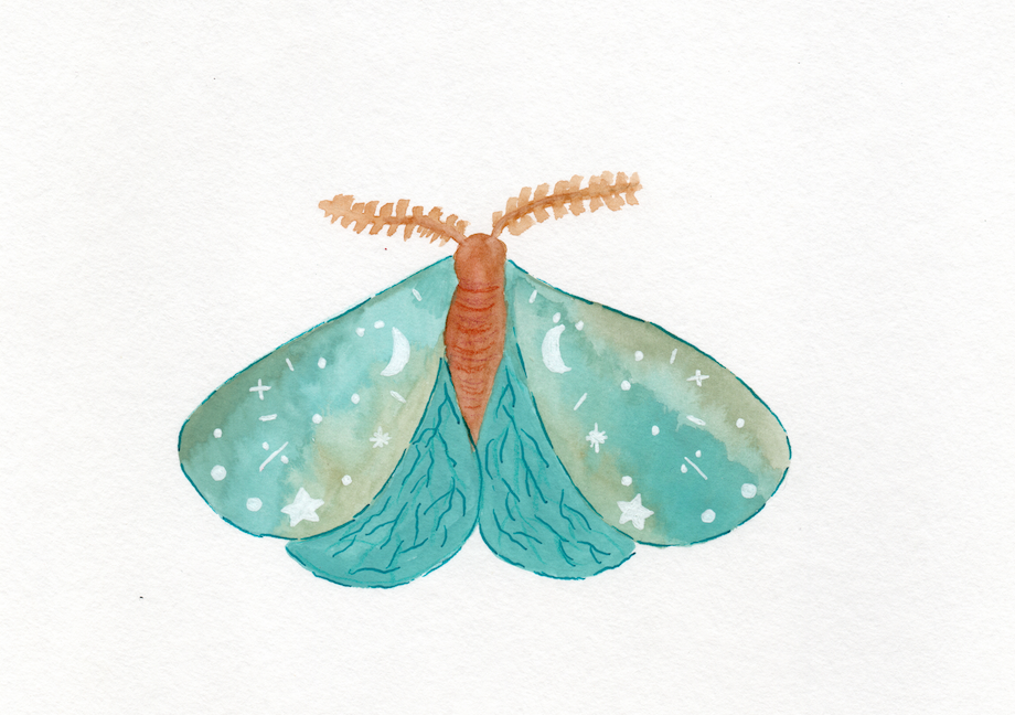 Screenshot 2026-03-03 at 2.15.42 PM.png