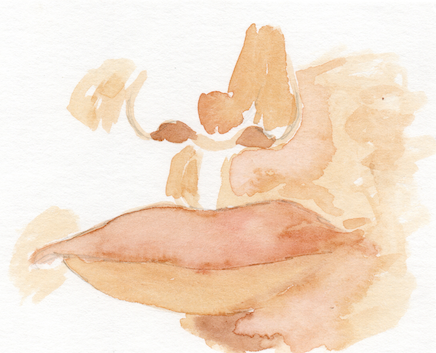 Screenshot 2026-03-03 at 2.14.00 PM.png