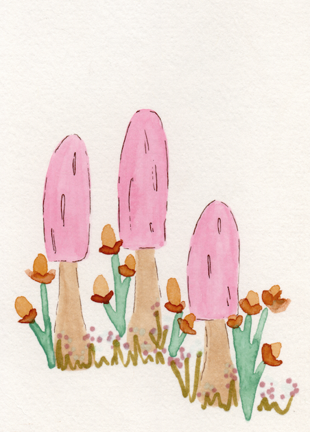 Screenshot 2026-03-03 at 2.13.53 PM.png