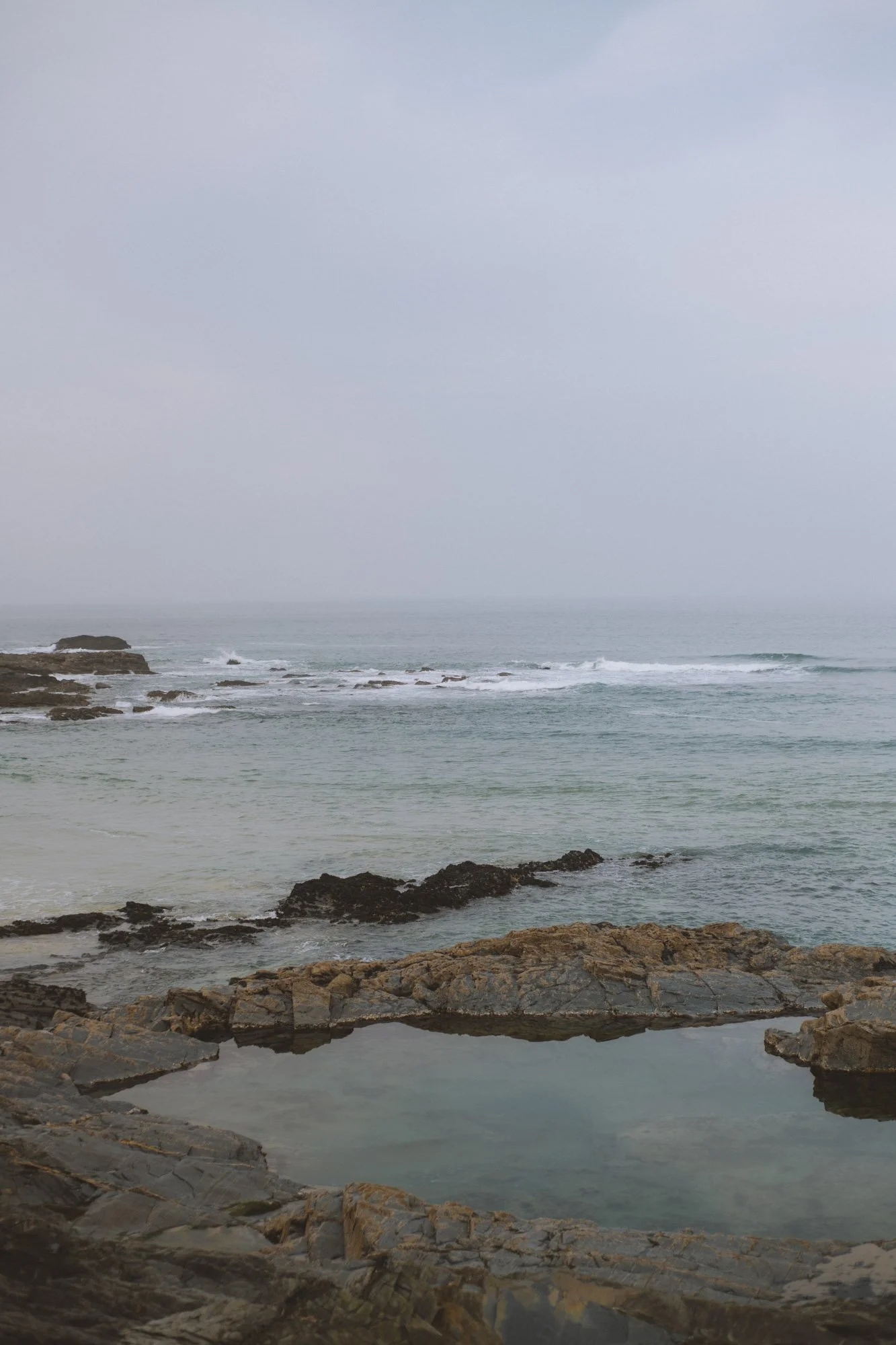 DSC_5325.jpg