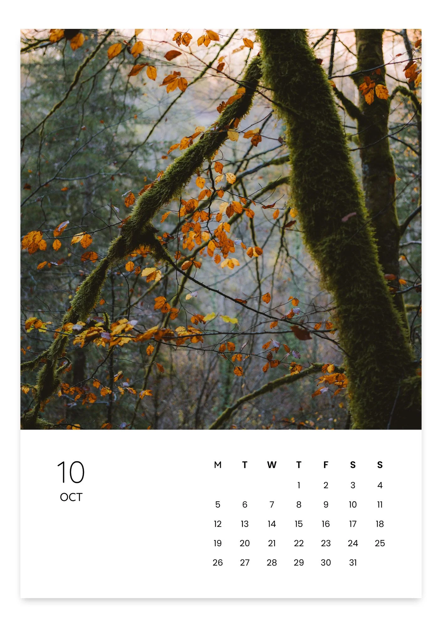 october.jpg
