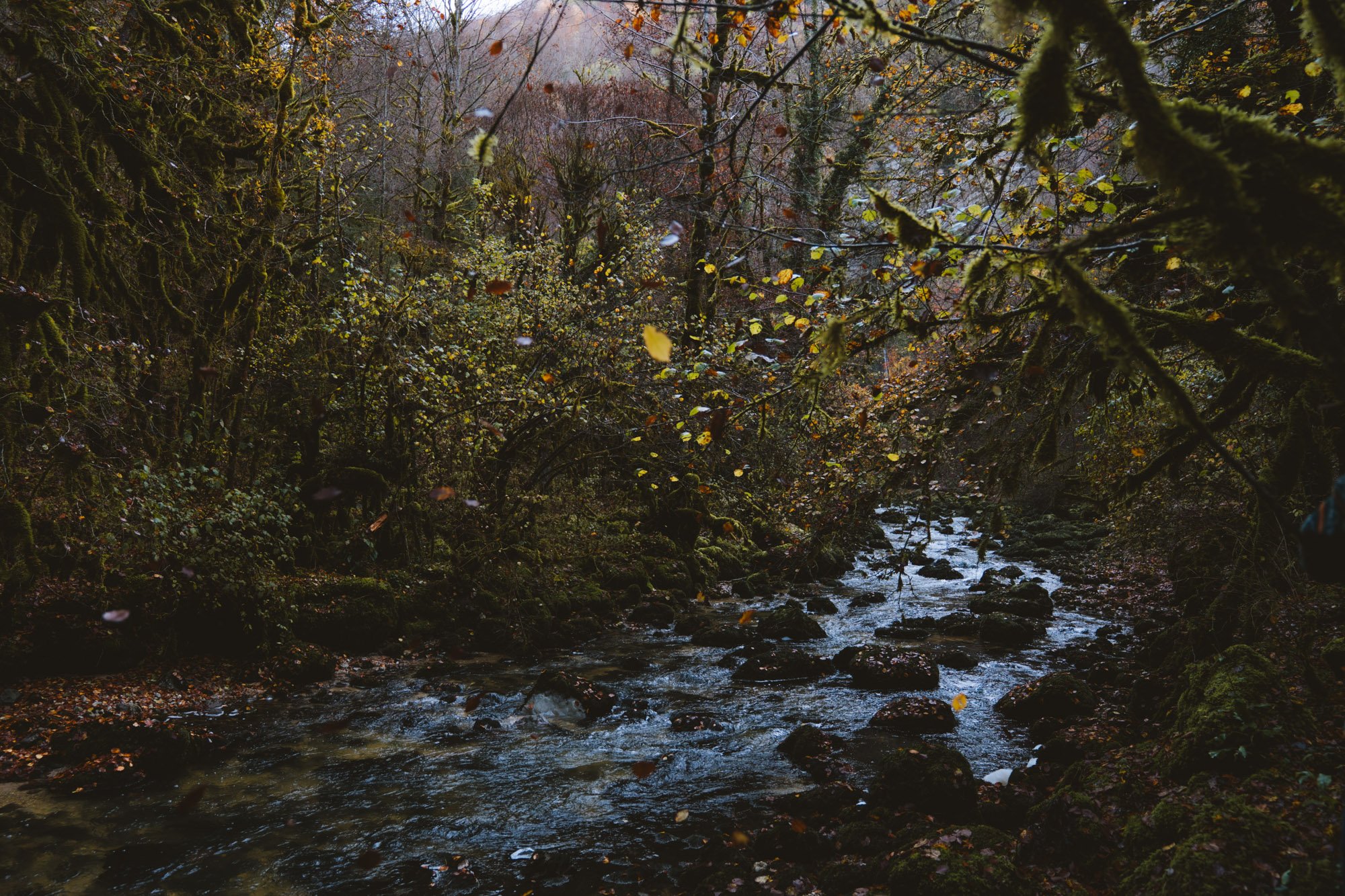 _DSC6578.jpg