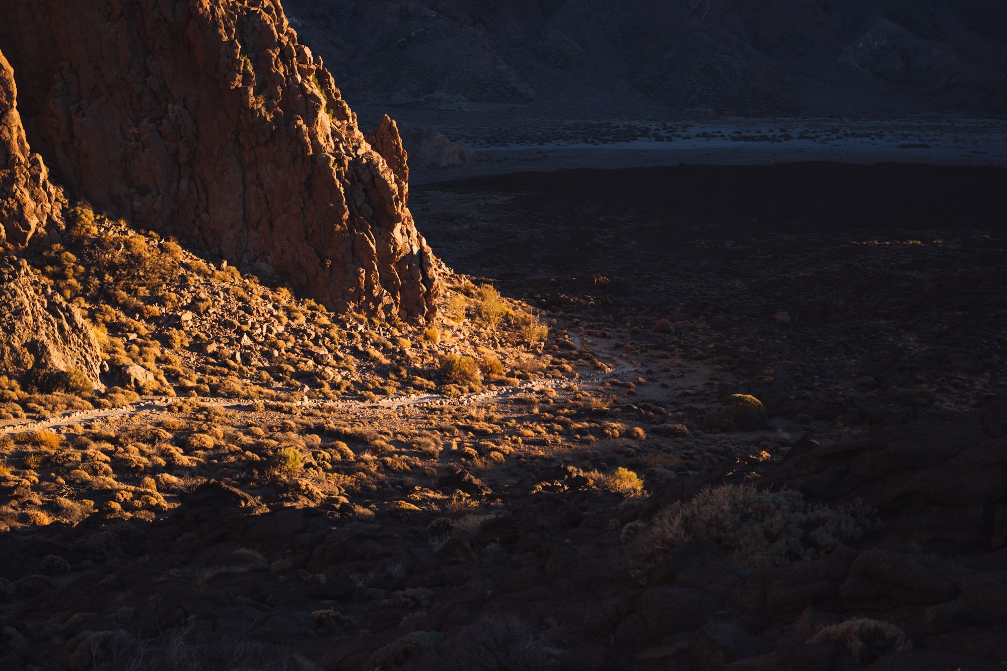 _DSC9133.jpg