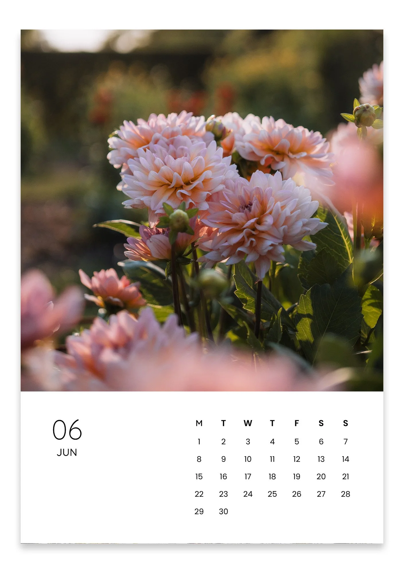 june.jpg