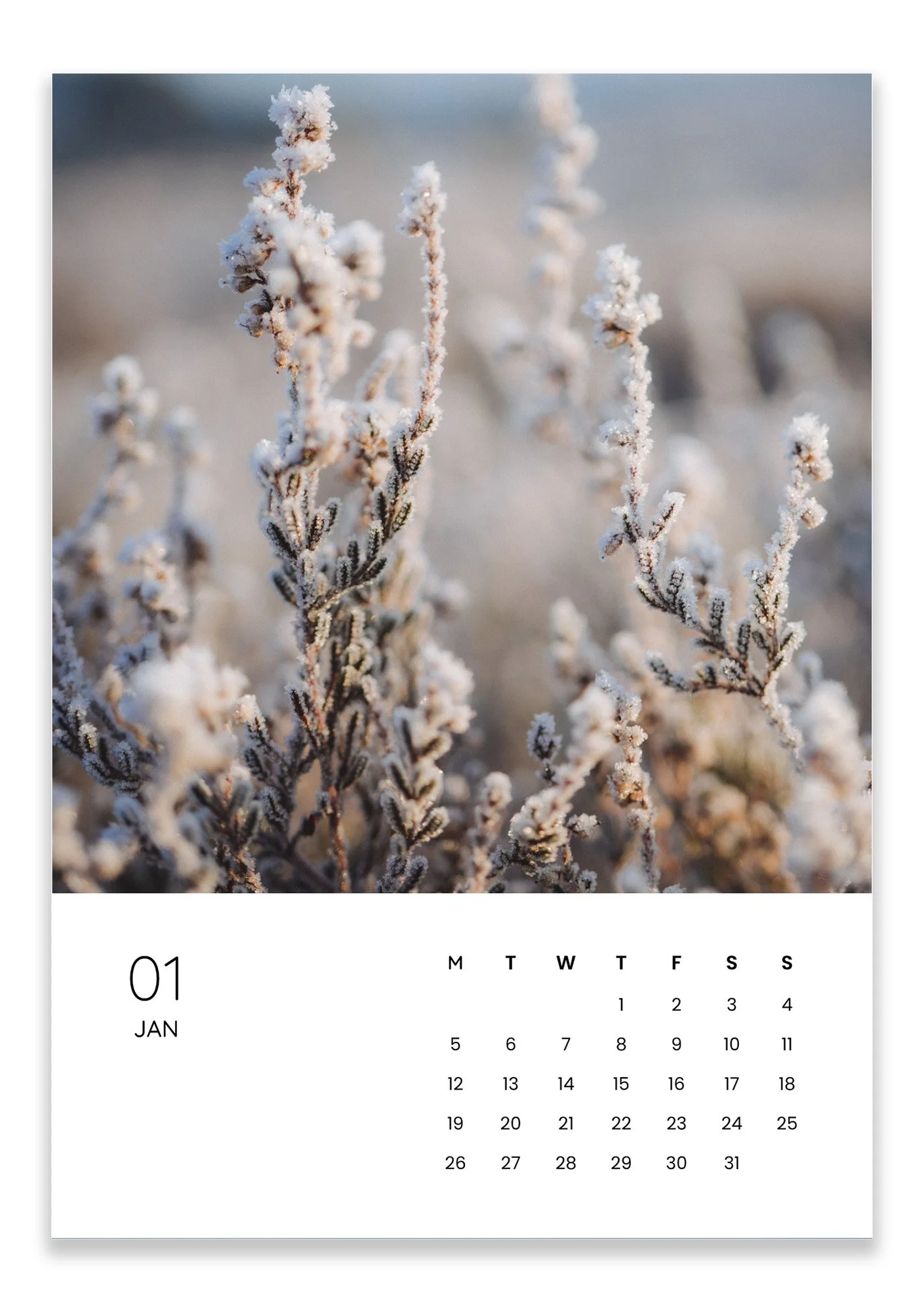 january.jpg