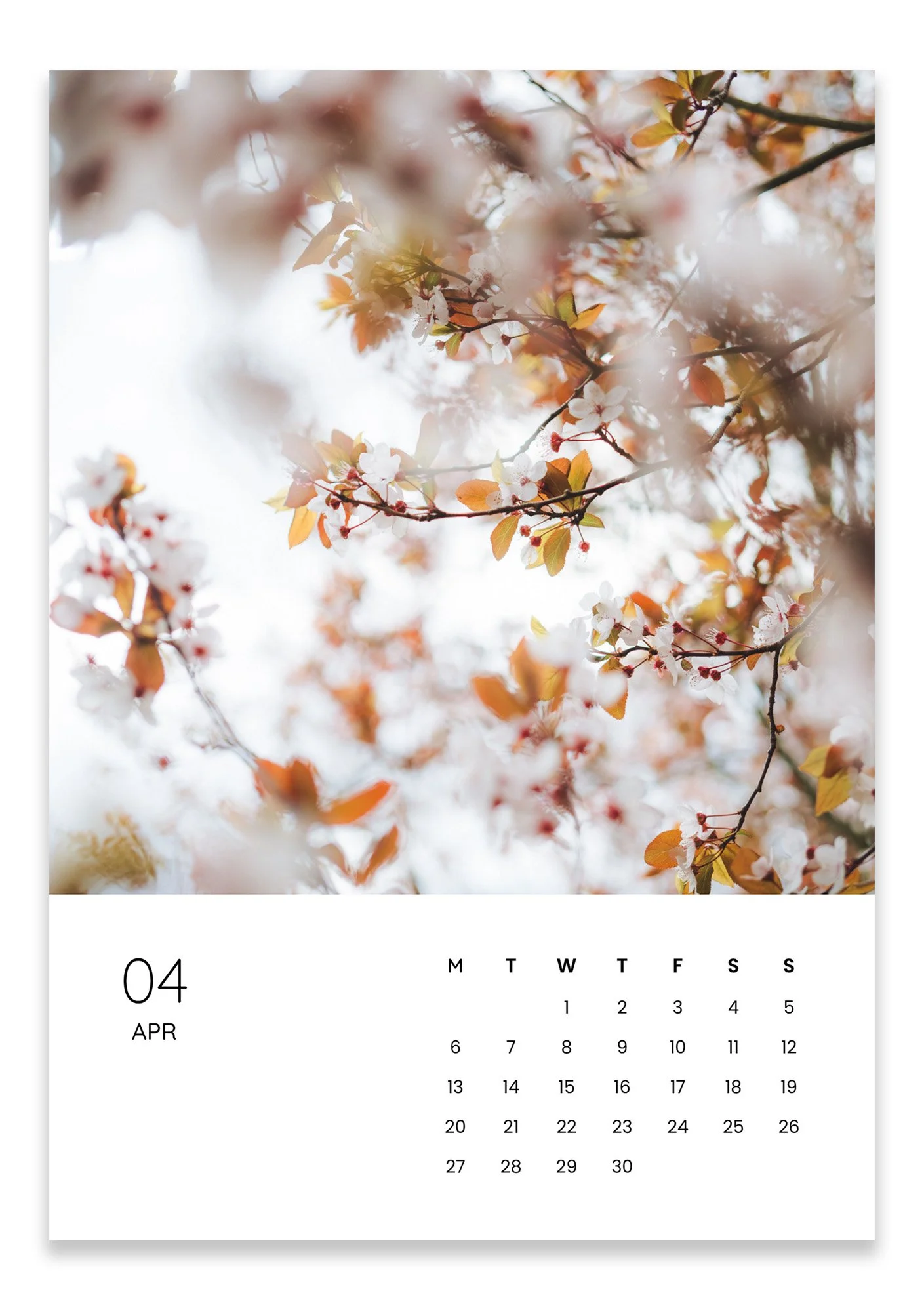 april.jpg