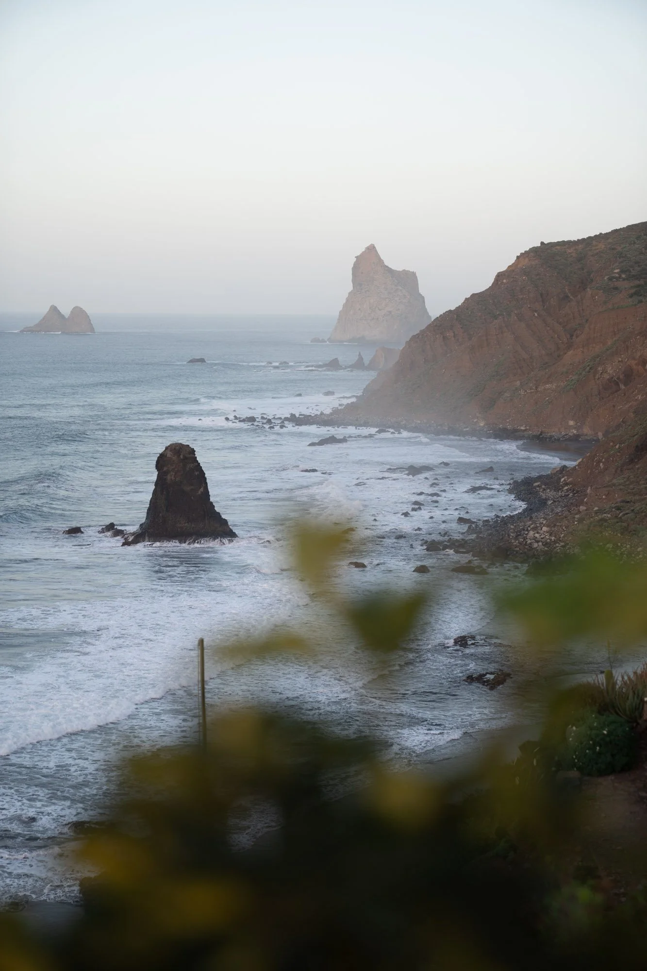 _DSC8516.jpg