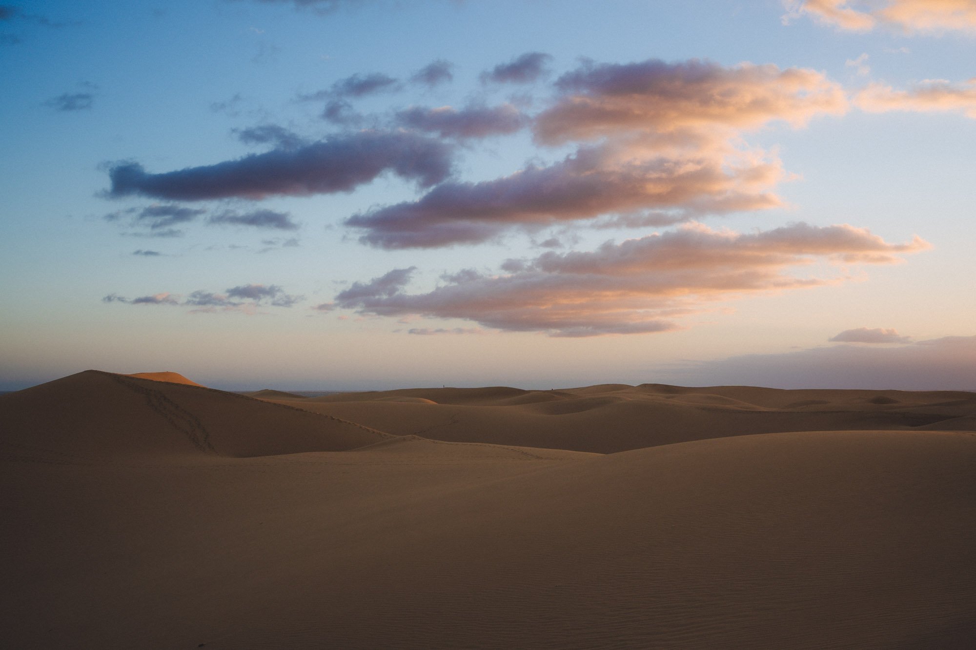 _DSC9560.jpg