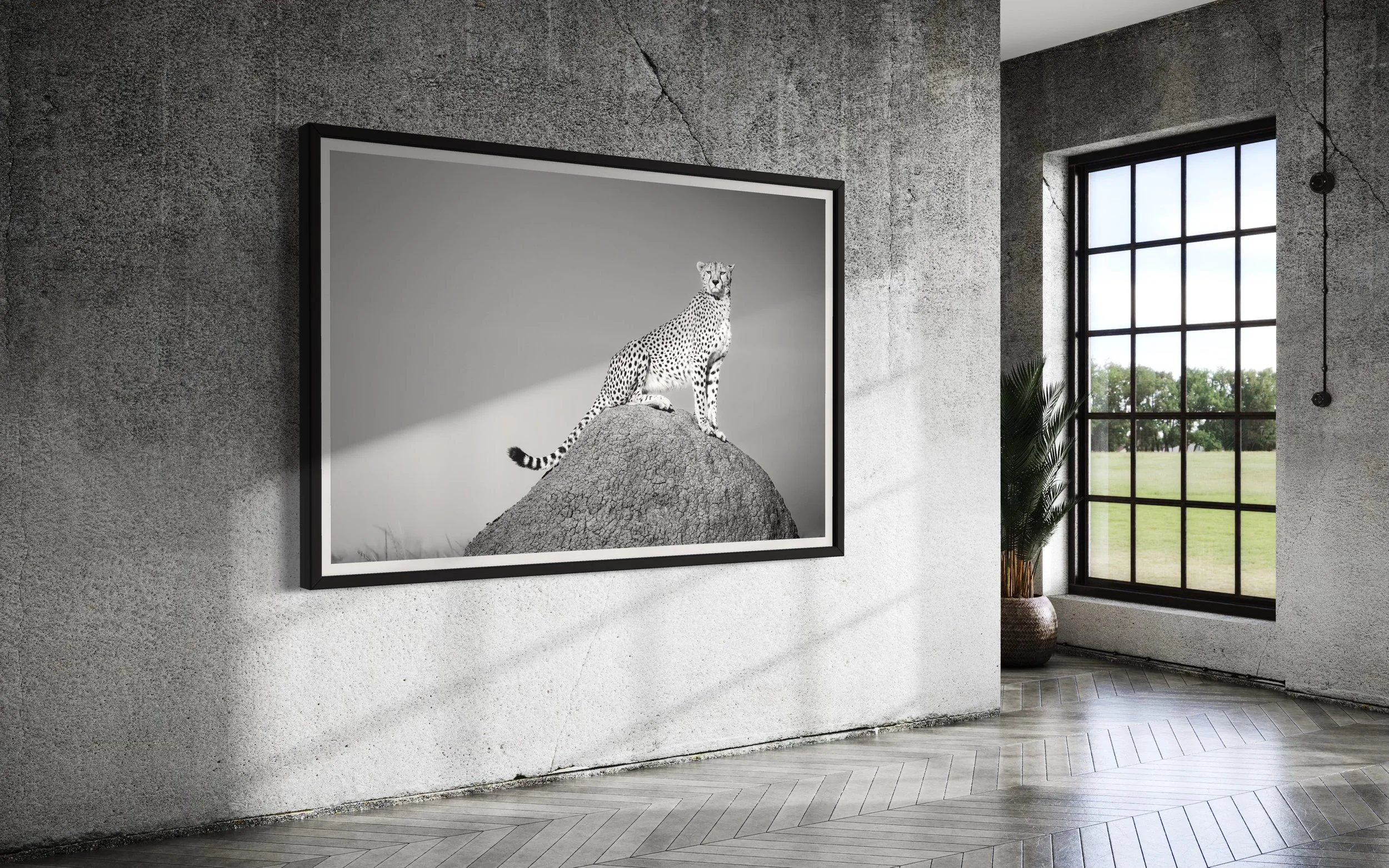 interior designer architect fine art wildlife photography chags photography by amish chhagan zambia 00043.JPG