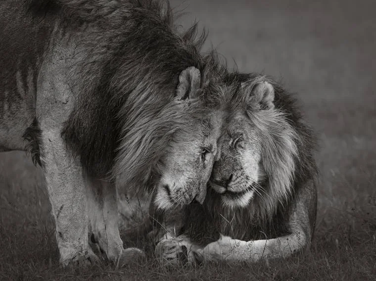 Reassurance