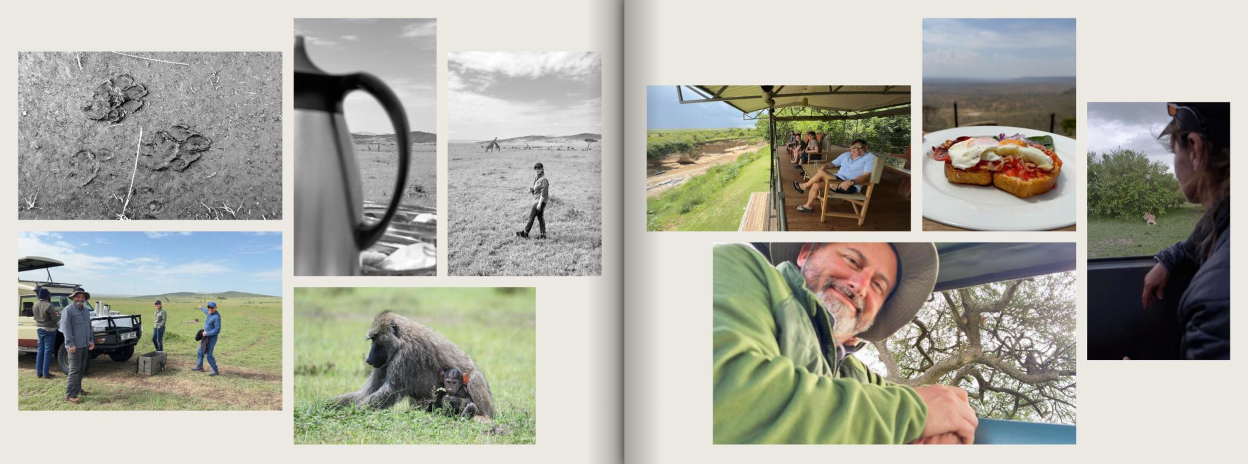 A collage of safari scenes including footprints in the dirt, a person standing in an open plain, a group of people sitting on a viewing deck overlooking a landscape, a plate of toast with eggs and tomato, a man smiling in a safari vehicle, a baboon w