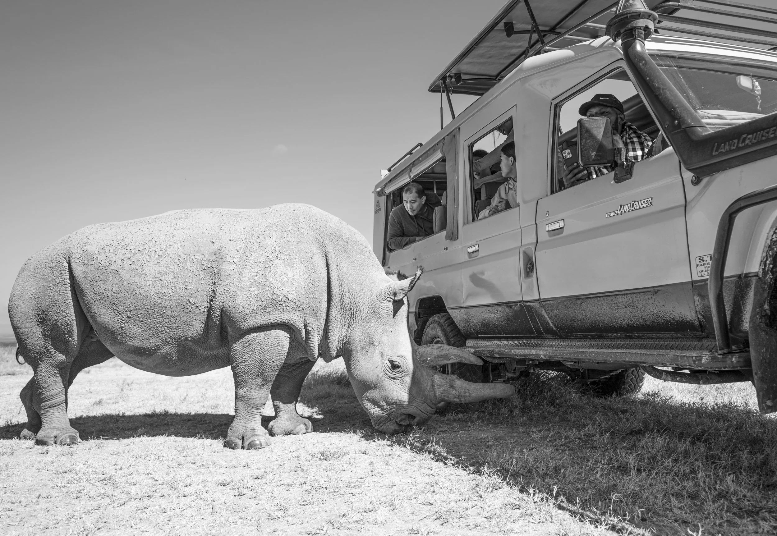 A group of people inside a Toyota Land Cruiser vehicle observing and photographing an elephant outside, in a safari setting.