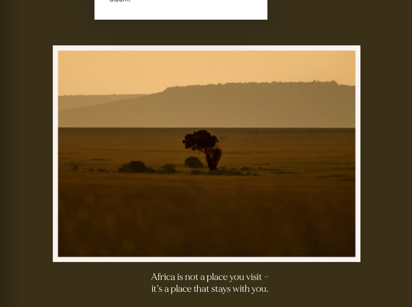 A lone tree stands in a vast savannah landscape with hills in the background, under a warm, golden sky.
