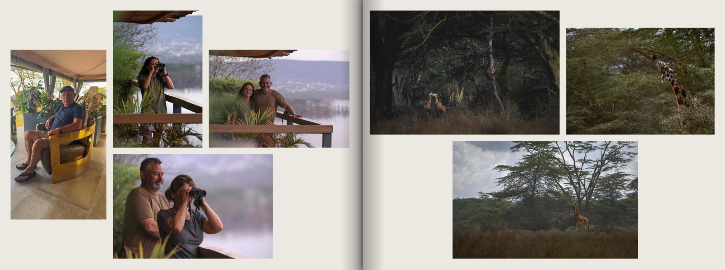 Collage of people on a safari, viewing wildlife from a lodge balcony, with giraffes in the background of a savanna and a dense forest scene with a giraffe.