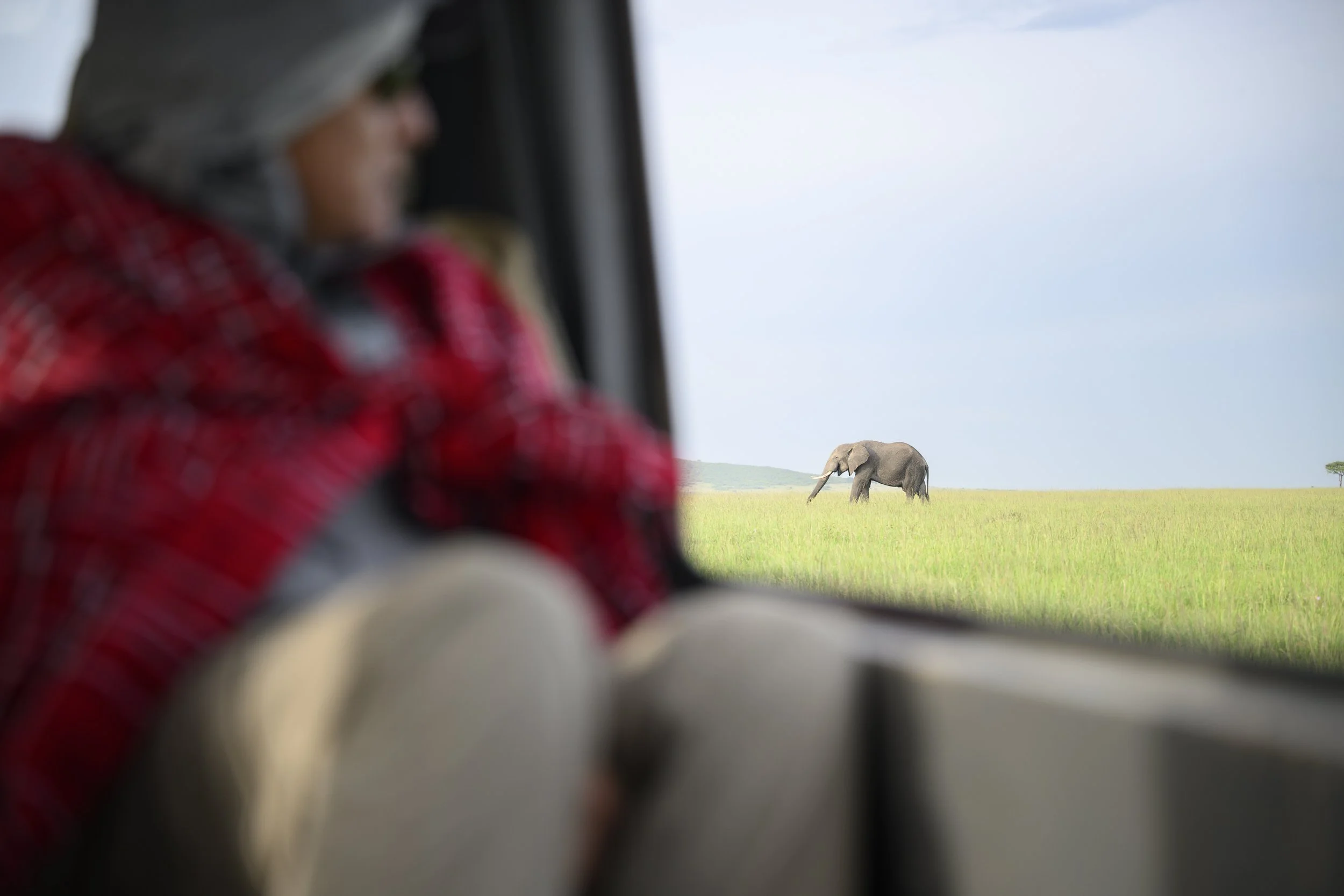 Child in red plaid shirt looking through a window at a distant elephant in a grassy field.