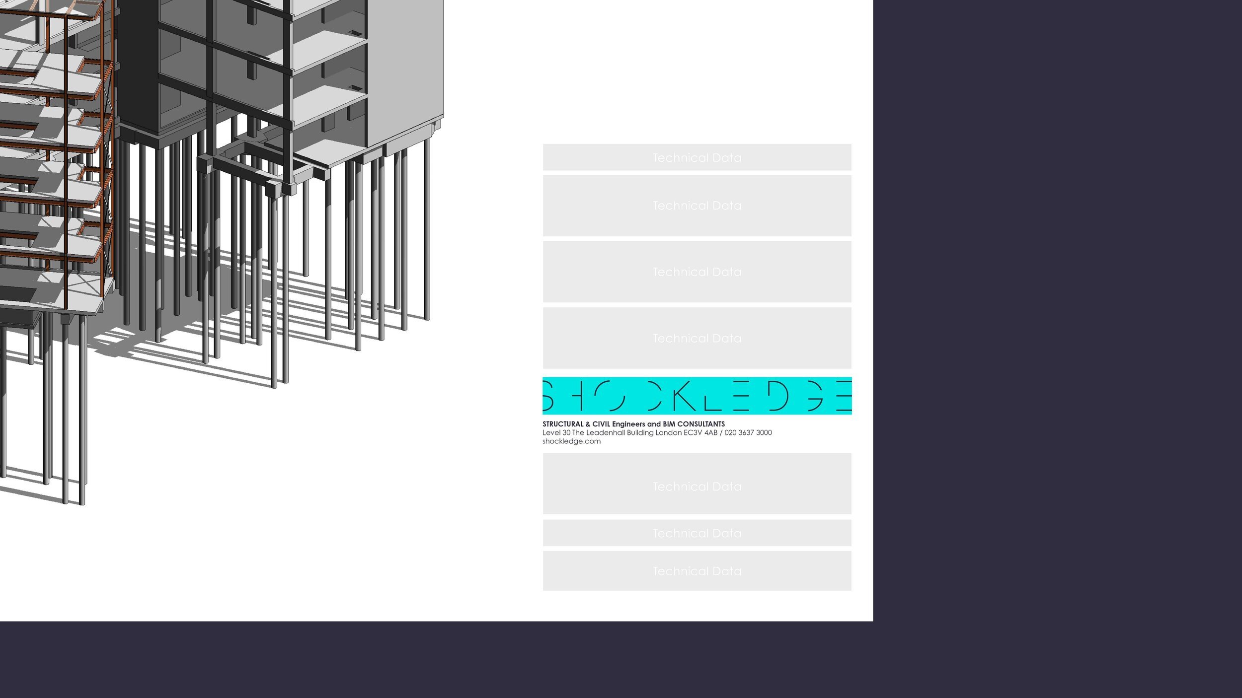 Shockledge_Portfolio_202112.jpg