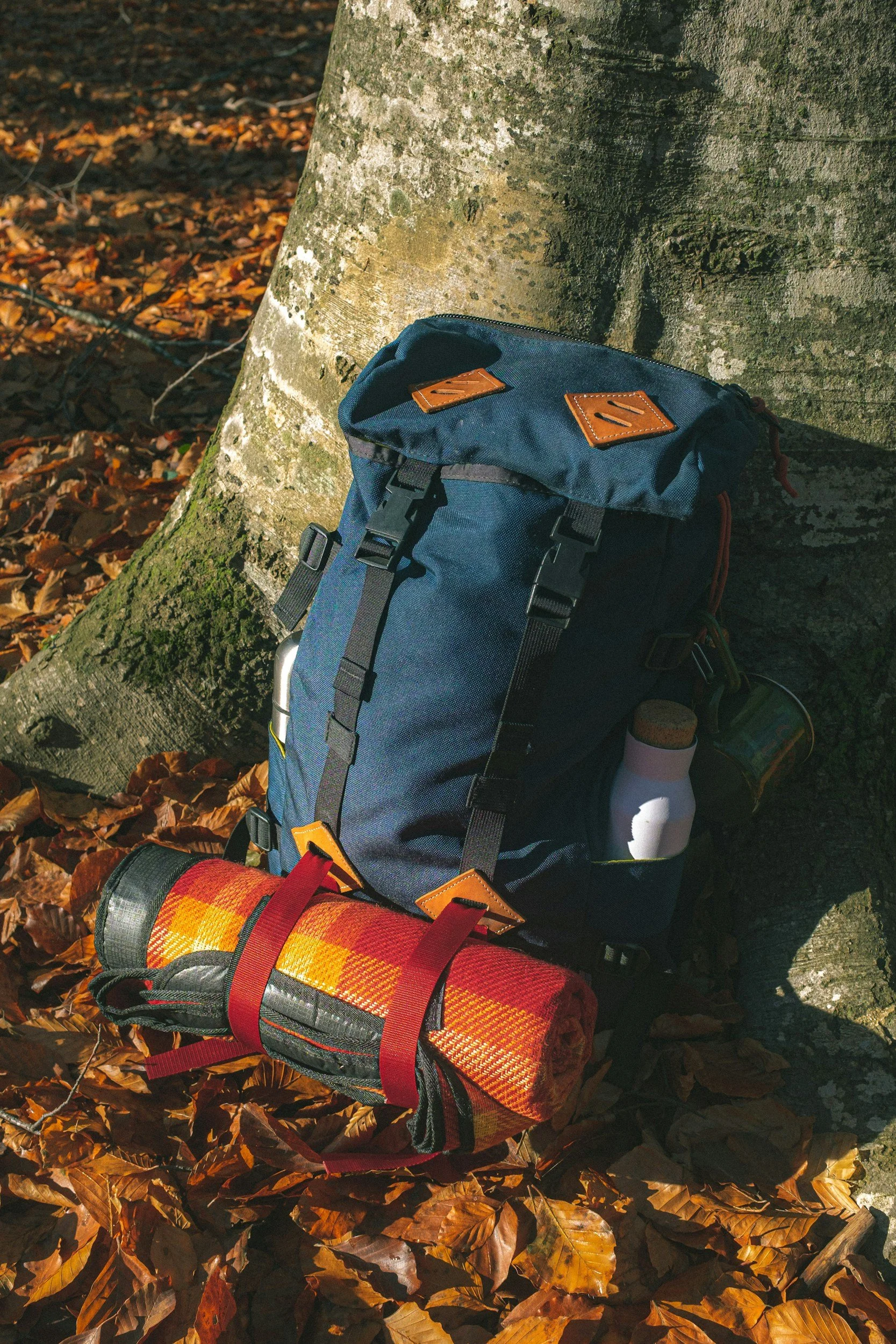 Photo of glue ricksack with tartan blanket strapped to the bottom, perched up against a tree truck. On the ground are autumnal leaves.