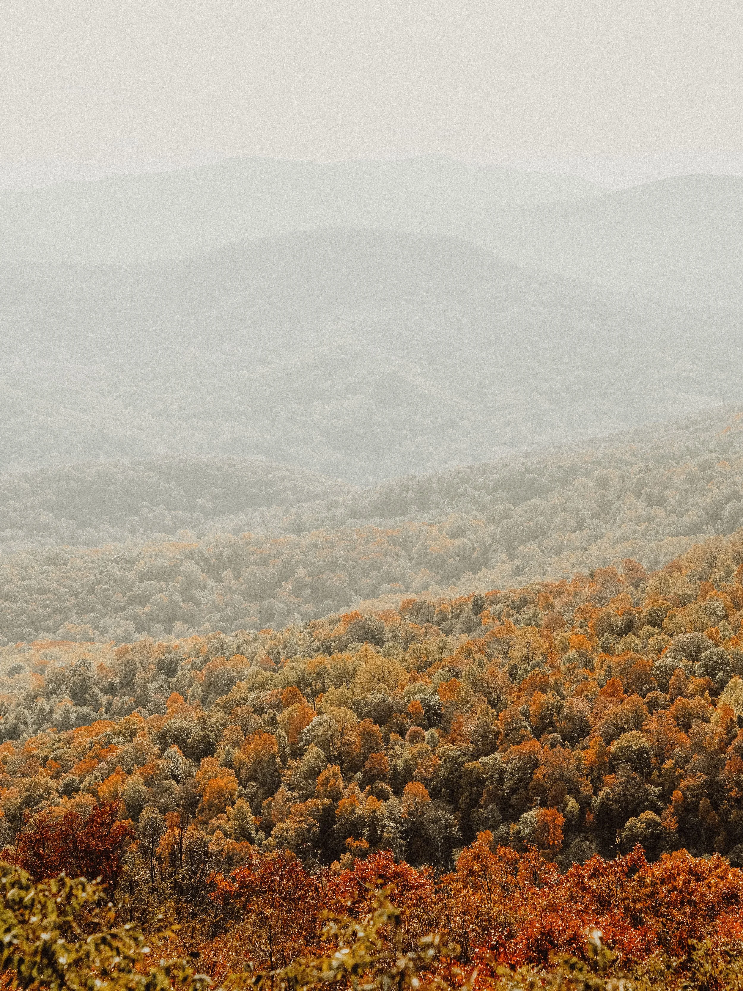 Celebrating the Autumn Equinox | Seasonal Living at Luna Mystery School