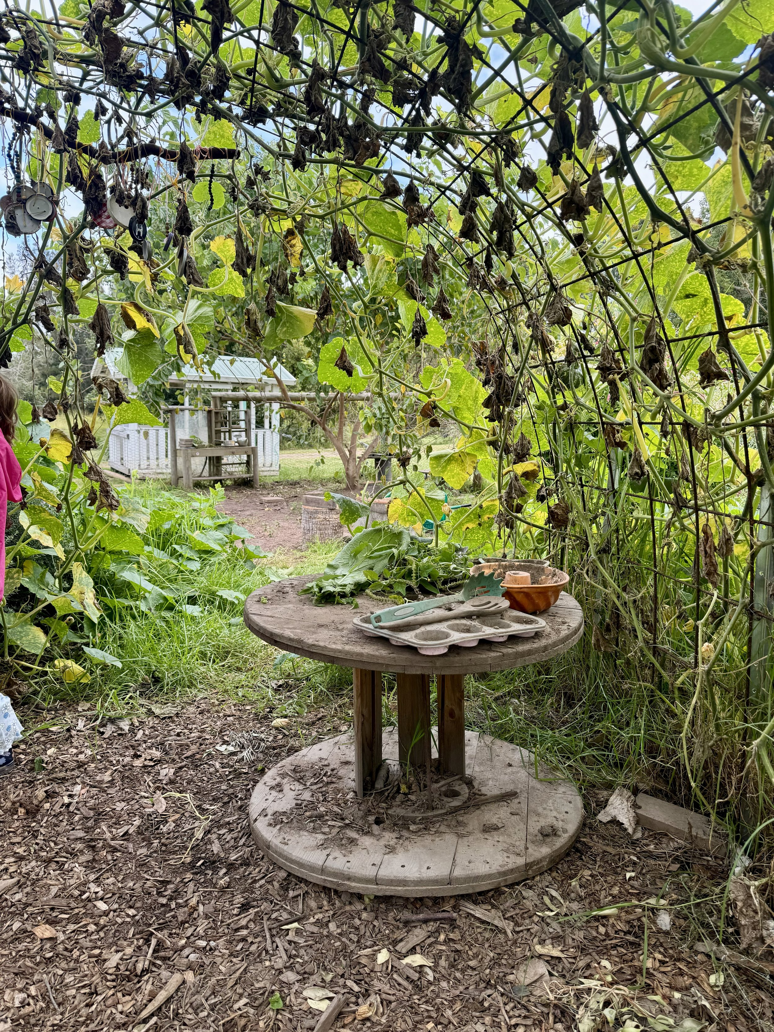 6 Ways to Stay Connected to Nature’s Cycles